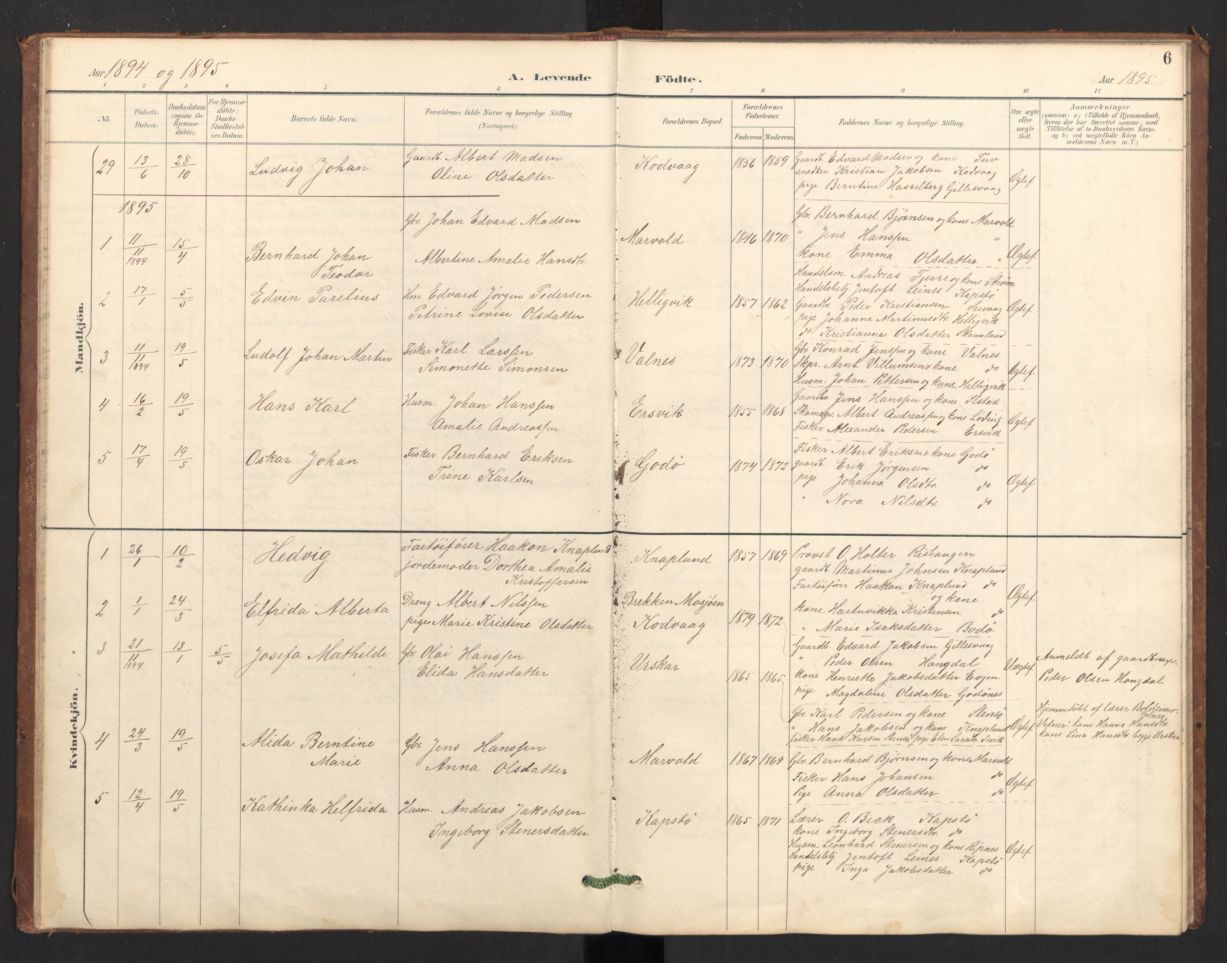 Ministerialprotokoller, klokkerbøker og fødselsregistre - Nordland, AV/SAT-A-1459/804/L0087: Parish register (official) no. 804A08, 1894-1907, p. 6