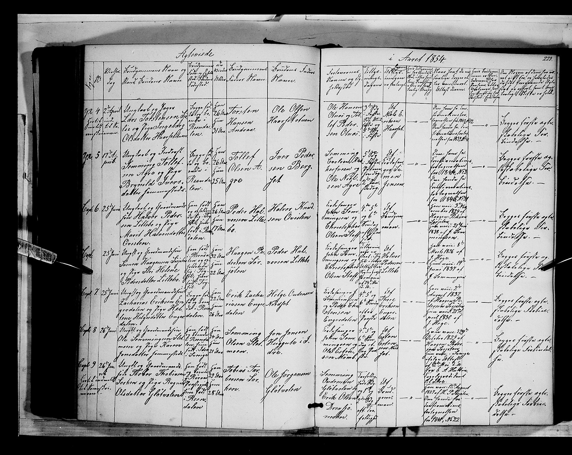 Rendalen prestekontor, AV/SAH-PREST-054/H/Ha/Haa/L0005: Parish register (official) no. 5, 1853-1866, p. 223