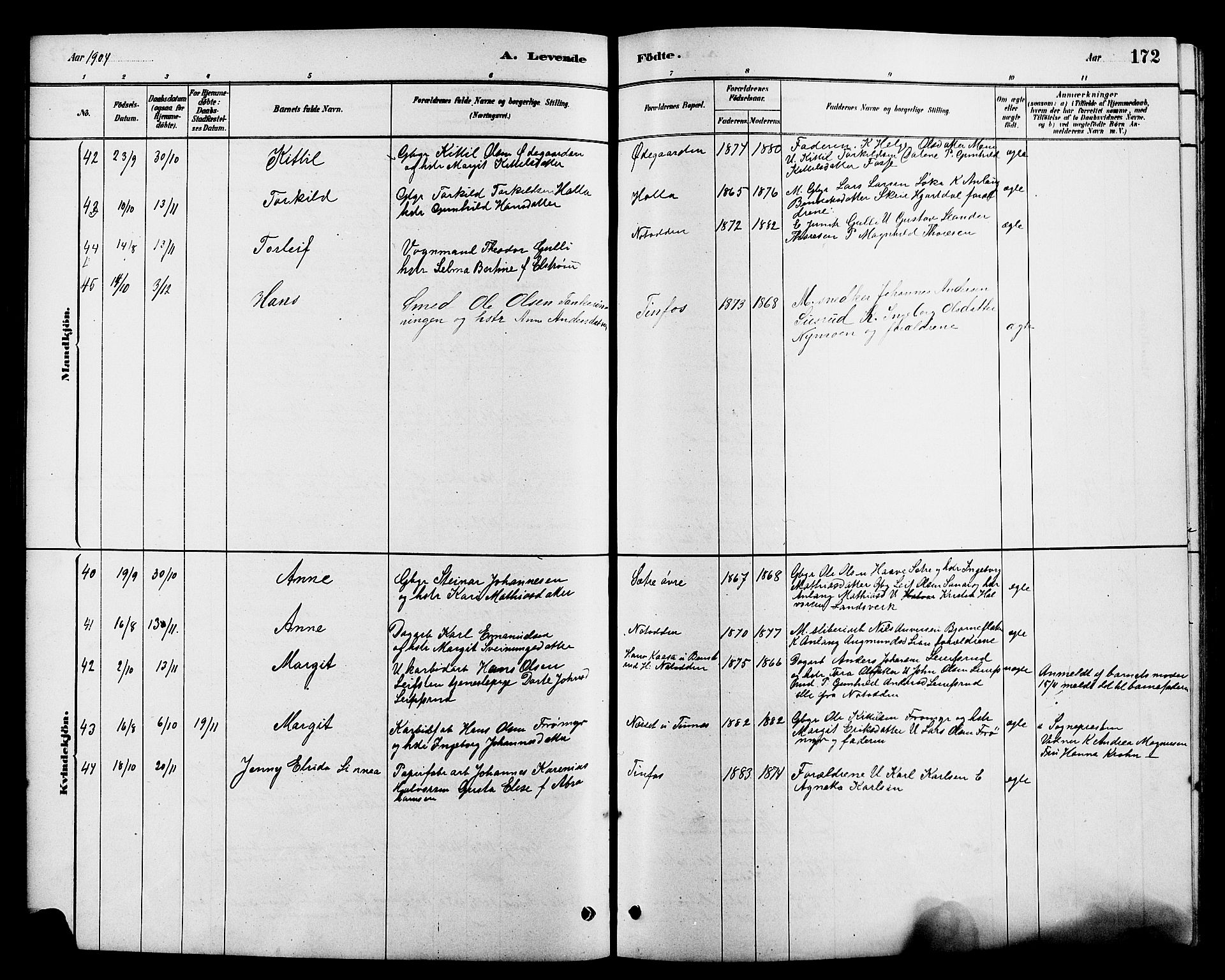 Heddal kirkebøker, SAKO/A-268/G/Ga/L0002: Parish register (copy) no. I 2, 1879-1908, p. 172