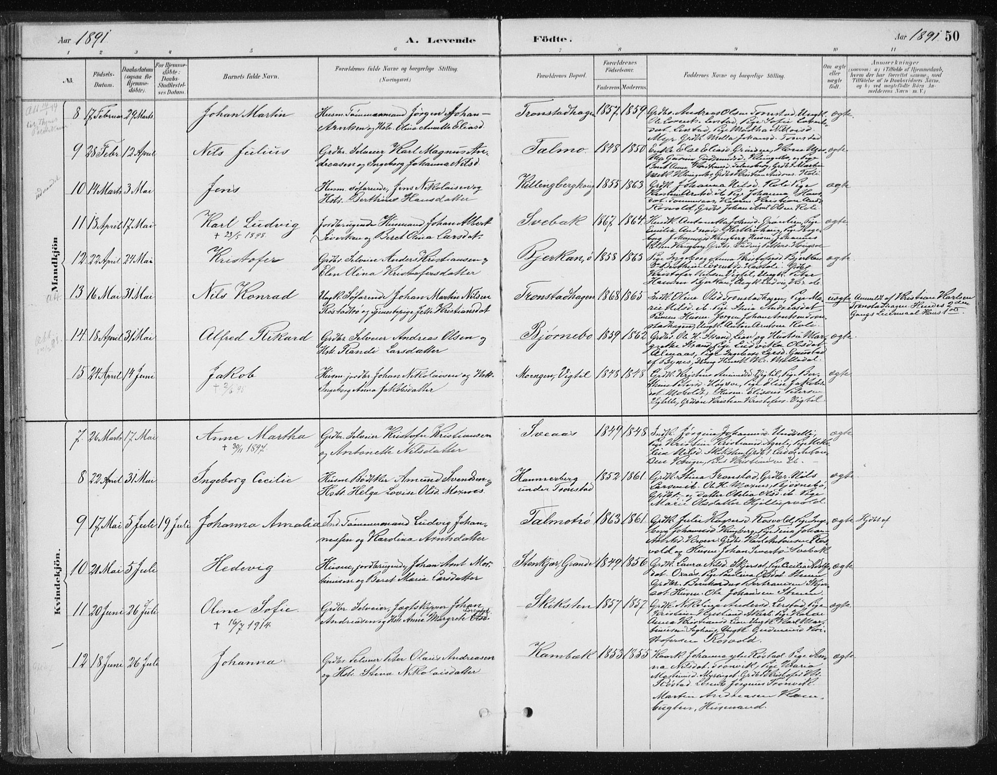 Ministerialprotokoller, klokkerbøker og fødselsregistre - Nord-Trøndelag, SAT/A-1458/701/L0010: Parish register (official) no. 701A10, 1883-1899, p. 50