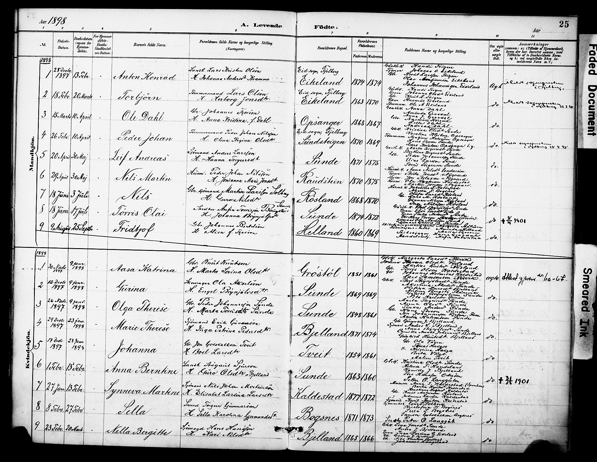 Kvinnherad sokneprestembete, AV/SAB-A-76401/H/Haa: Parish register (official) no. D 1, 1887-1910, p. 25