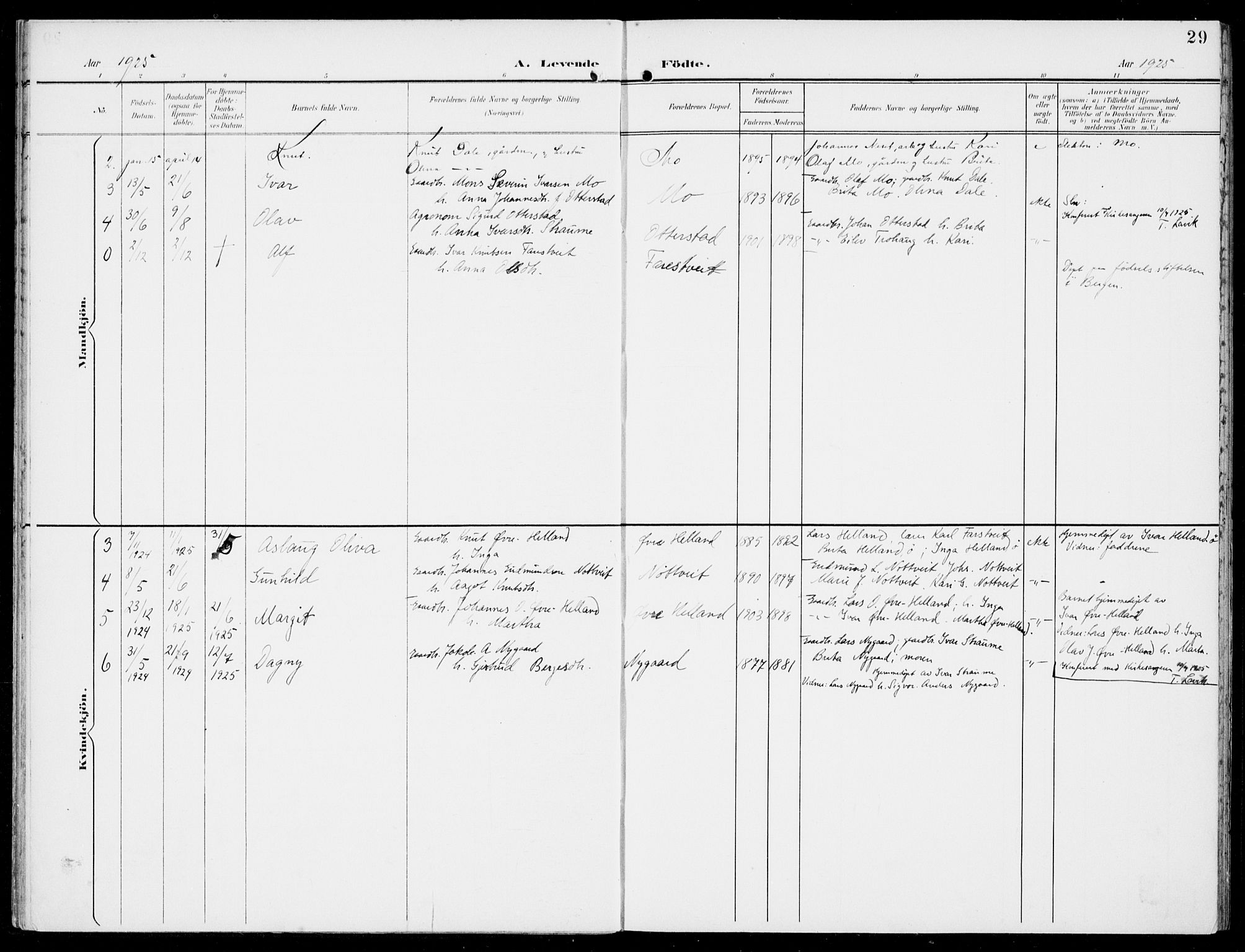 Hosanger sokneprestembete, AV/SAB-A-75801/H/Haa: Parish register (official) no. C  2, 1901-1925, p. 29