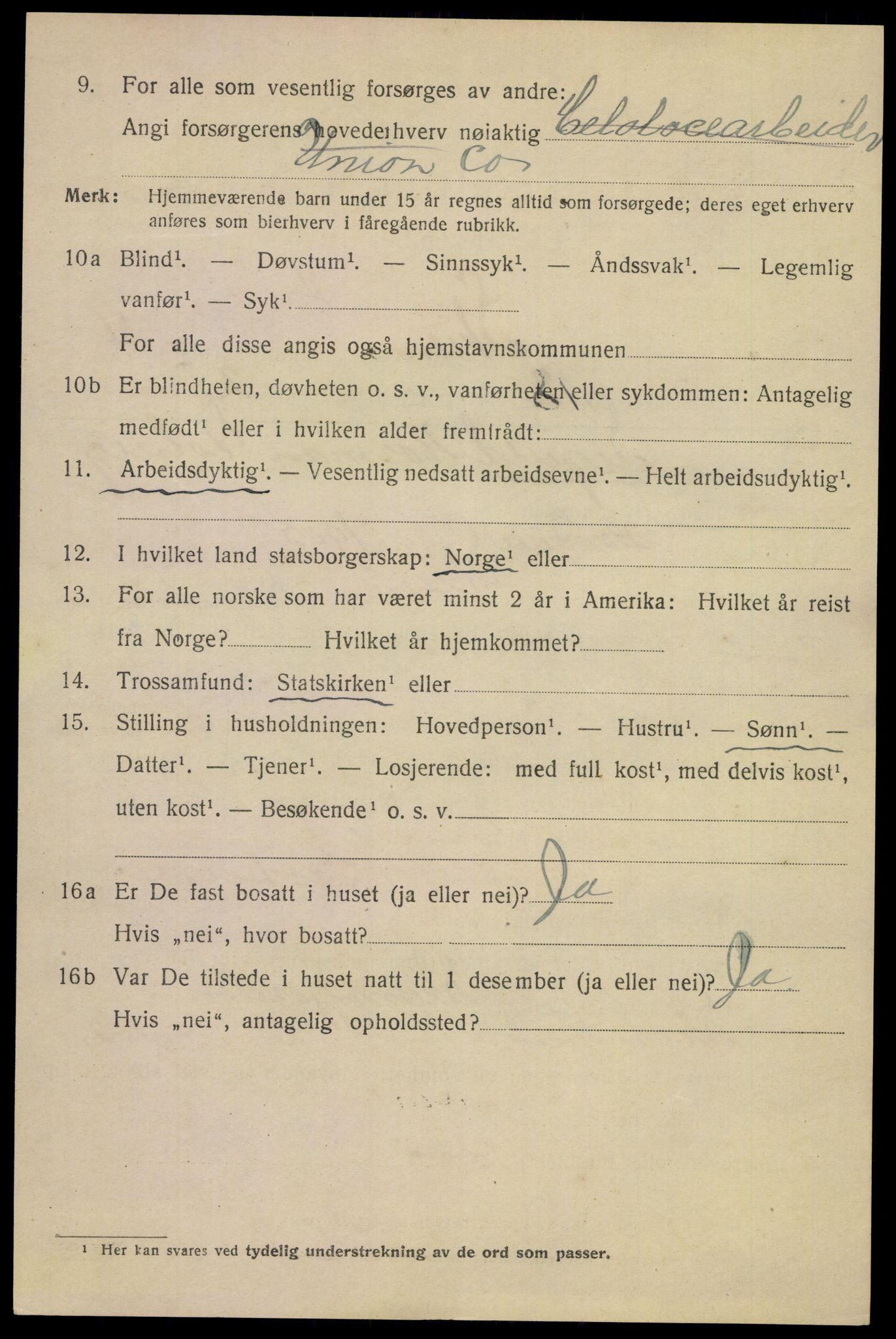 SAKO, 1920 census for Skien, 1920, p. 16933