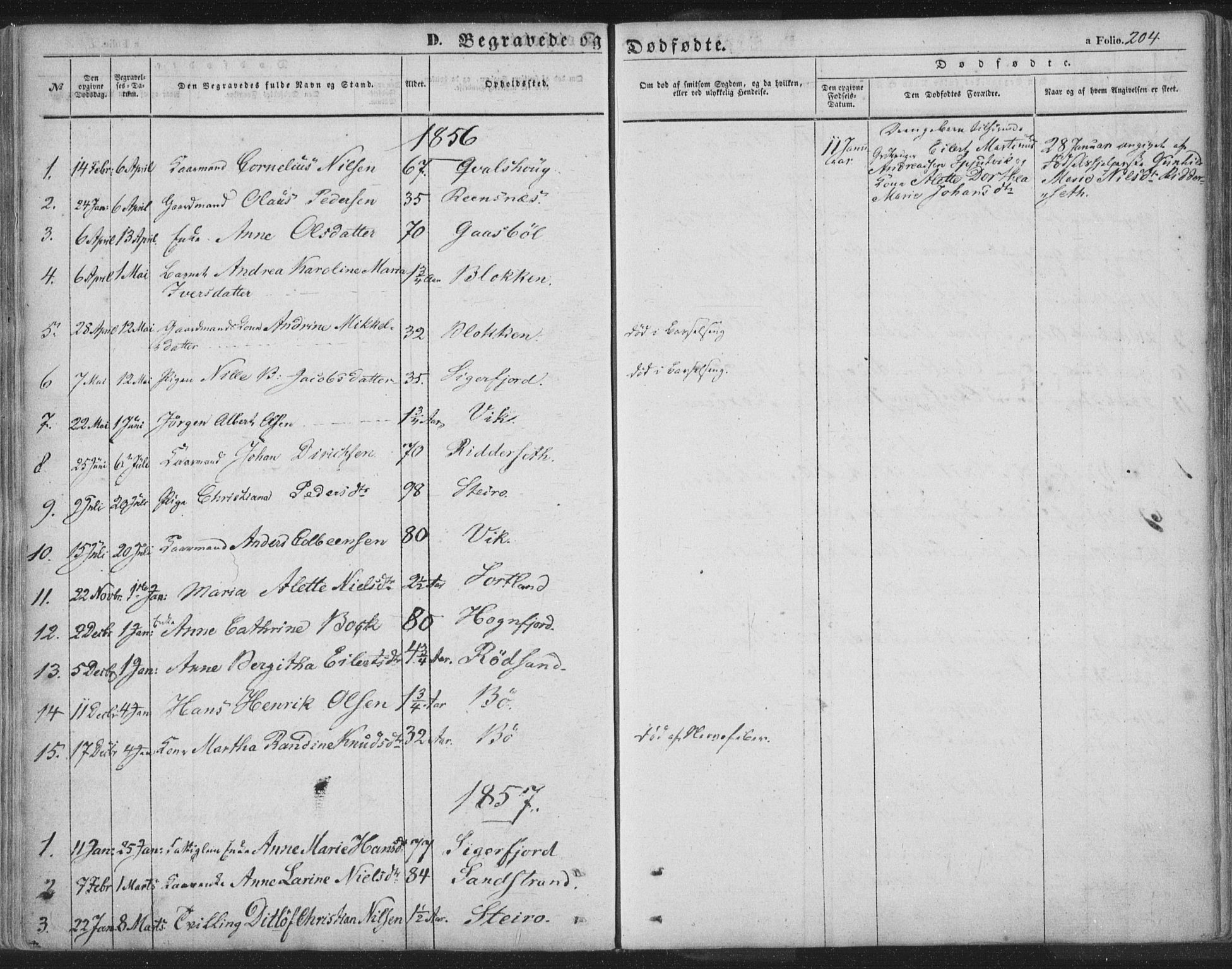 Ministerialprotokoller, klokkerbøker og fødselsregistre - Nordland, AV/SAT-A-1459/895/L1369: Parish register (official) no. 895A04, 1852-1872, p. 204