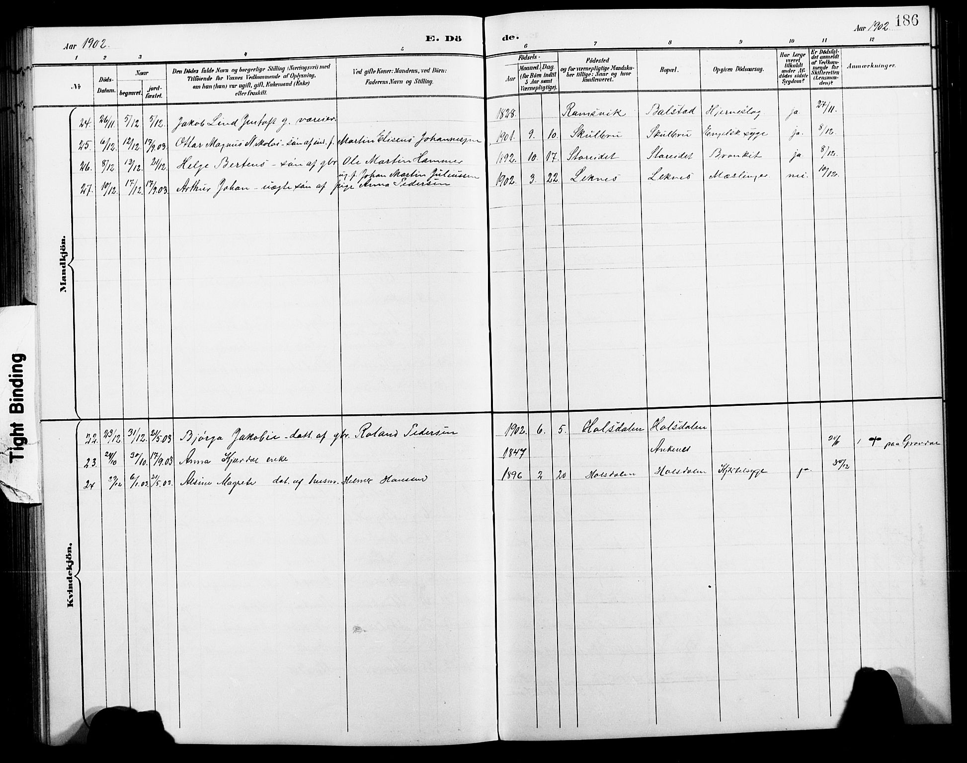 Ministerialprotokoller, klokkerbøker og fødselsregistre - Nordland, AV/SAT-A-1459/881/L1168: Parish register (copy) no. 881C05, 1900-1911, p. 186