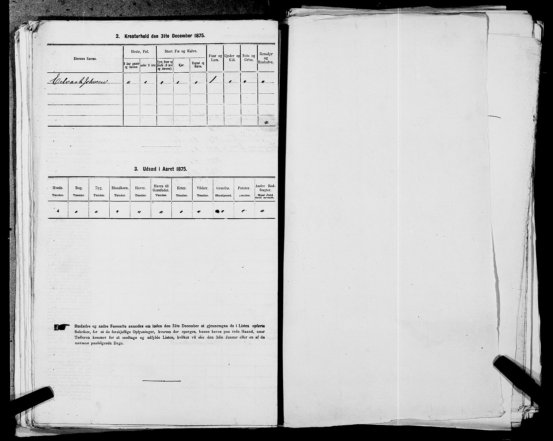 SAST, 1875 census for 1157P Vikedal, 1875, p. 903