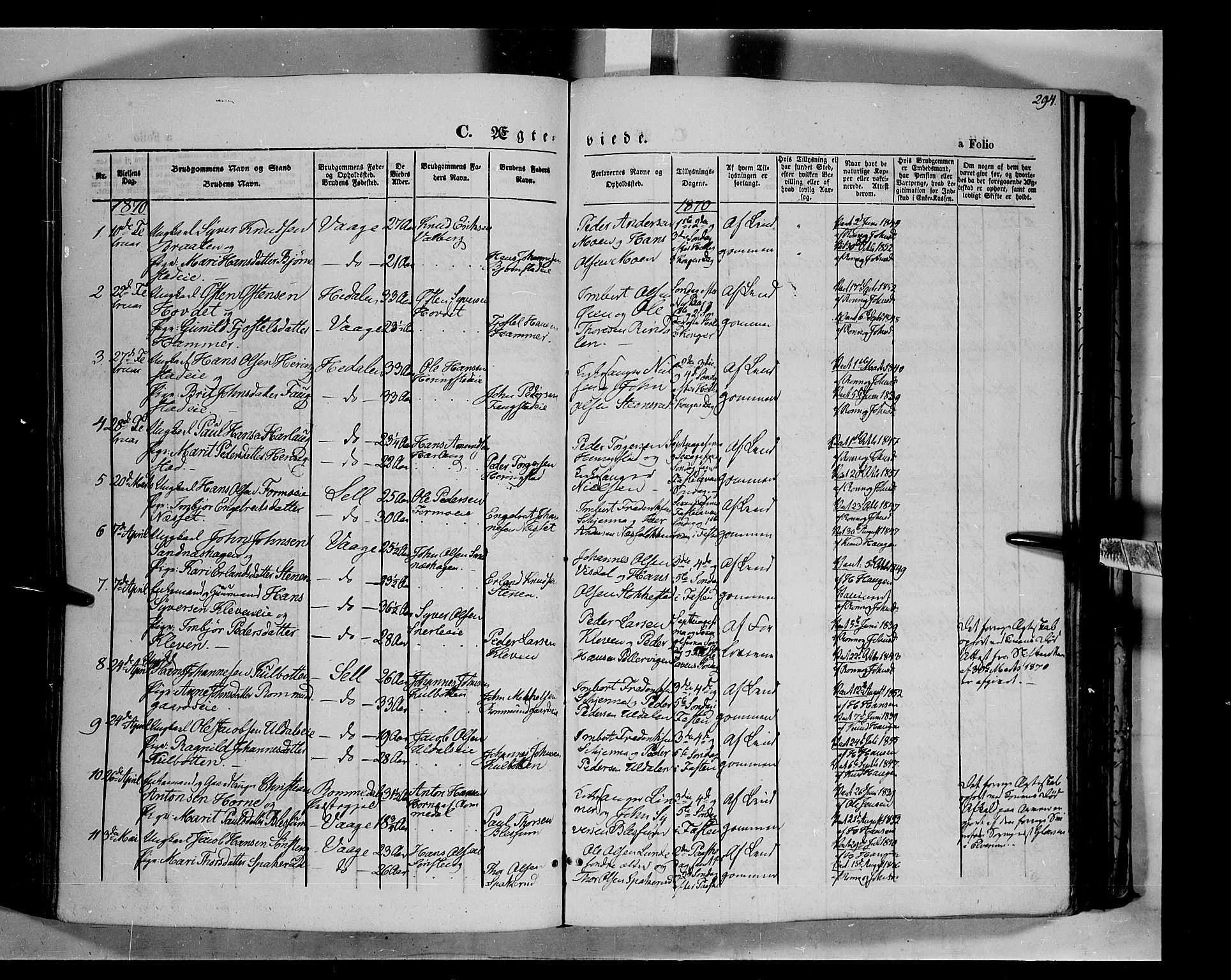Vågå prestekontor, SAH/PREST-076/H/Ha/Haa/L0006: Parish register (official) no. 6 /1, 1856-1872, p. 294