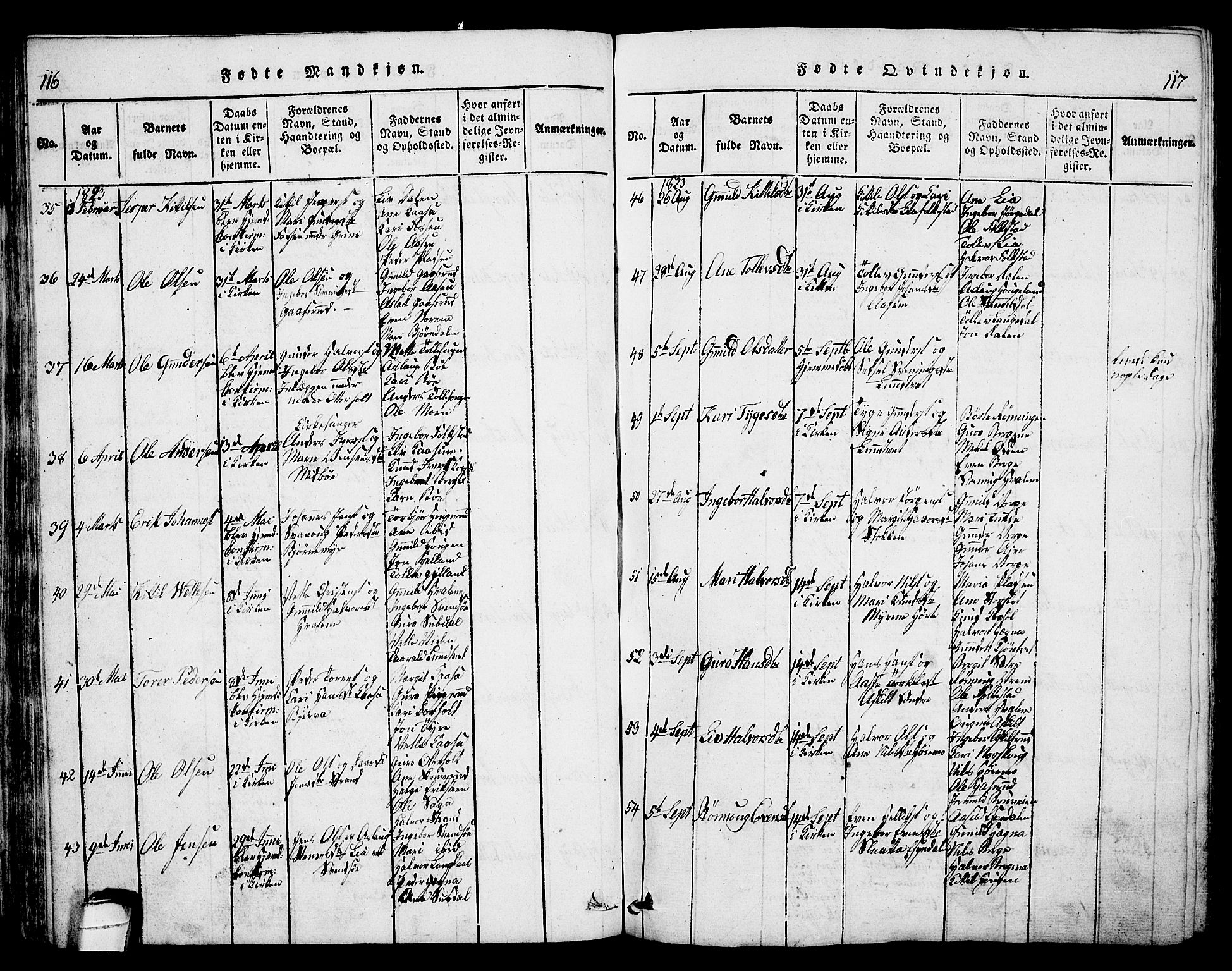 Bø kirkebøker, AV/SAKO-A-257/G/Ga/L0001: Parish register (copy) no. 1, 1815-1831, p. 116-117