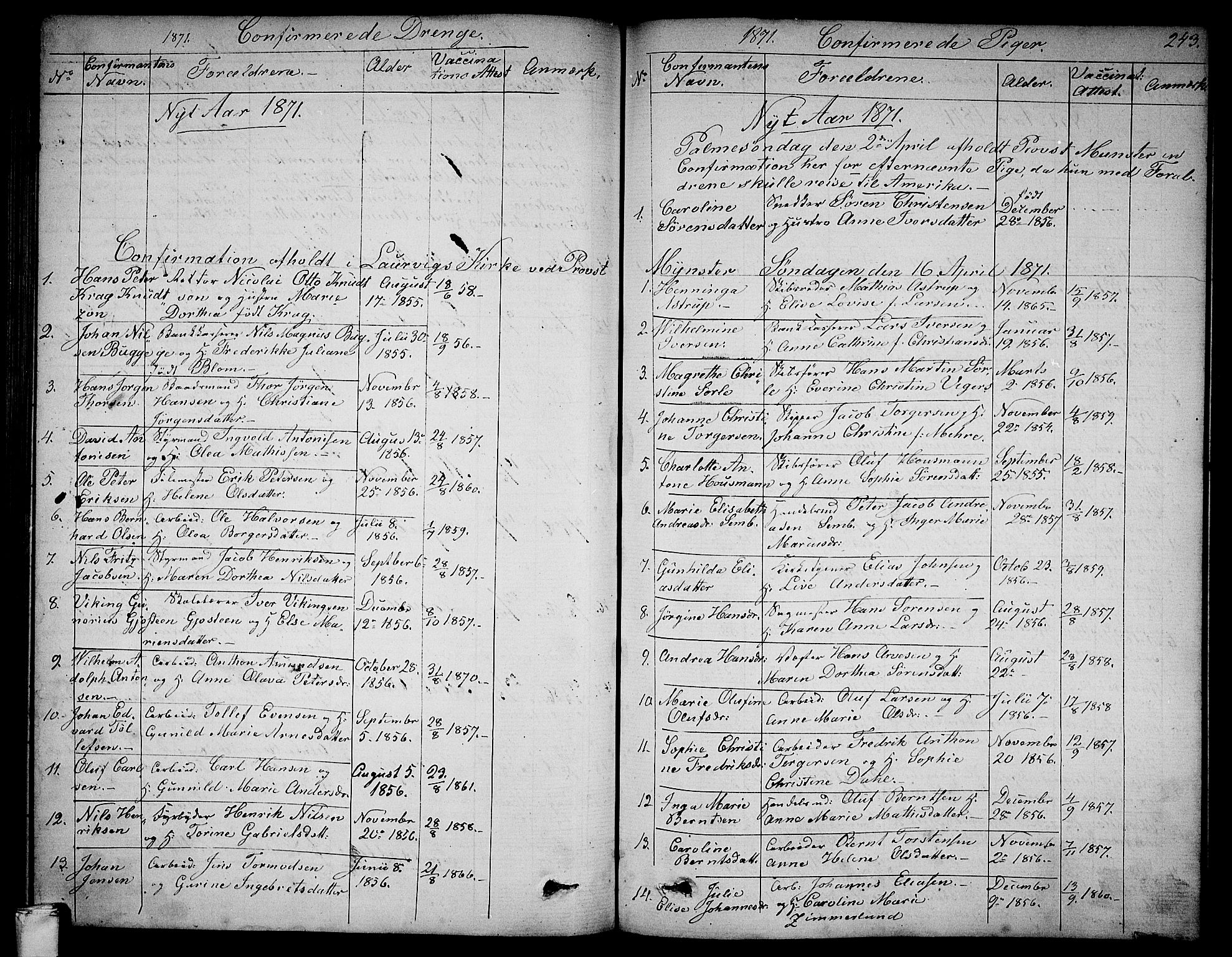 Larvik kirkebøker, SAKO/A-352/G/Ga/L0004: Parish register (copy) no. I 4, 1871-1888, p. 243