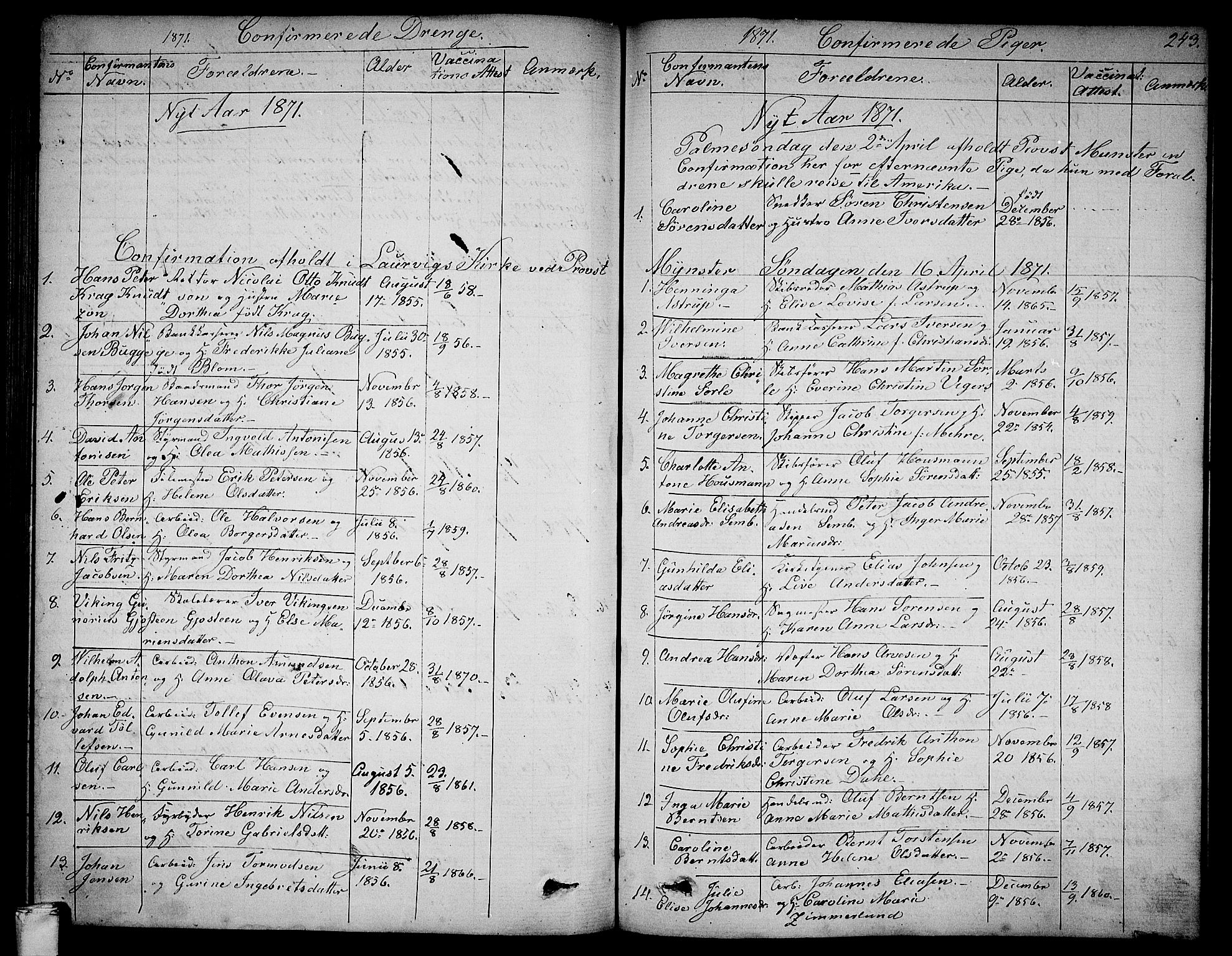 Larvik kirkebøker, AV/SAKO-A-352/G/Ga/L0004: Parish register (copy) no. I 4, 1871-1888, p. 243