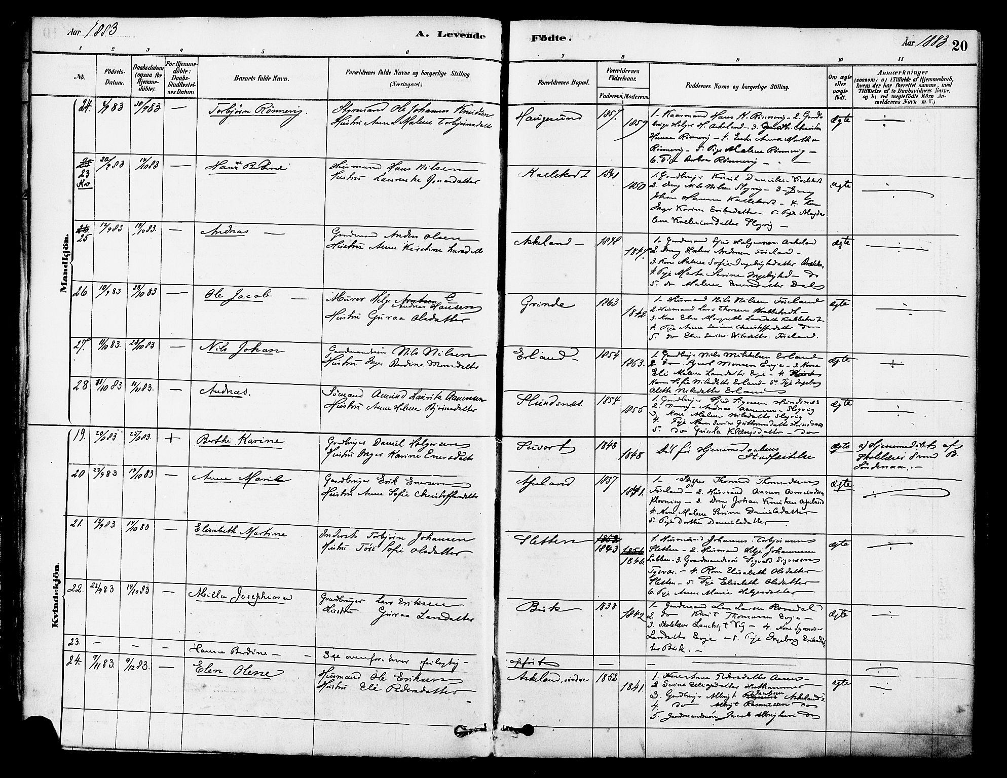 Tysvær sokneprestkontor, AV/SAST-A -101864/H/Ha/Haa/L0006: Parish register (official) no. A 6, 1878-1896, p. 20