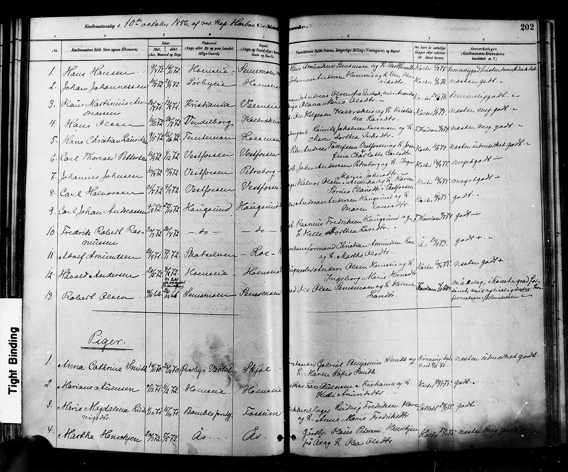 Eiker kirkebøker, AV/SAKO-A-4/F/Fb/L0001: Parish register (official) no. II 1, 1878-1888, p. 202