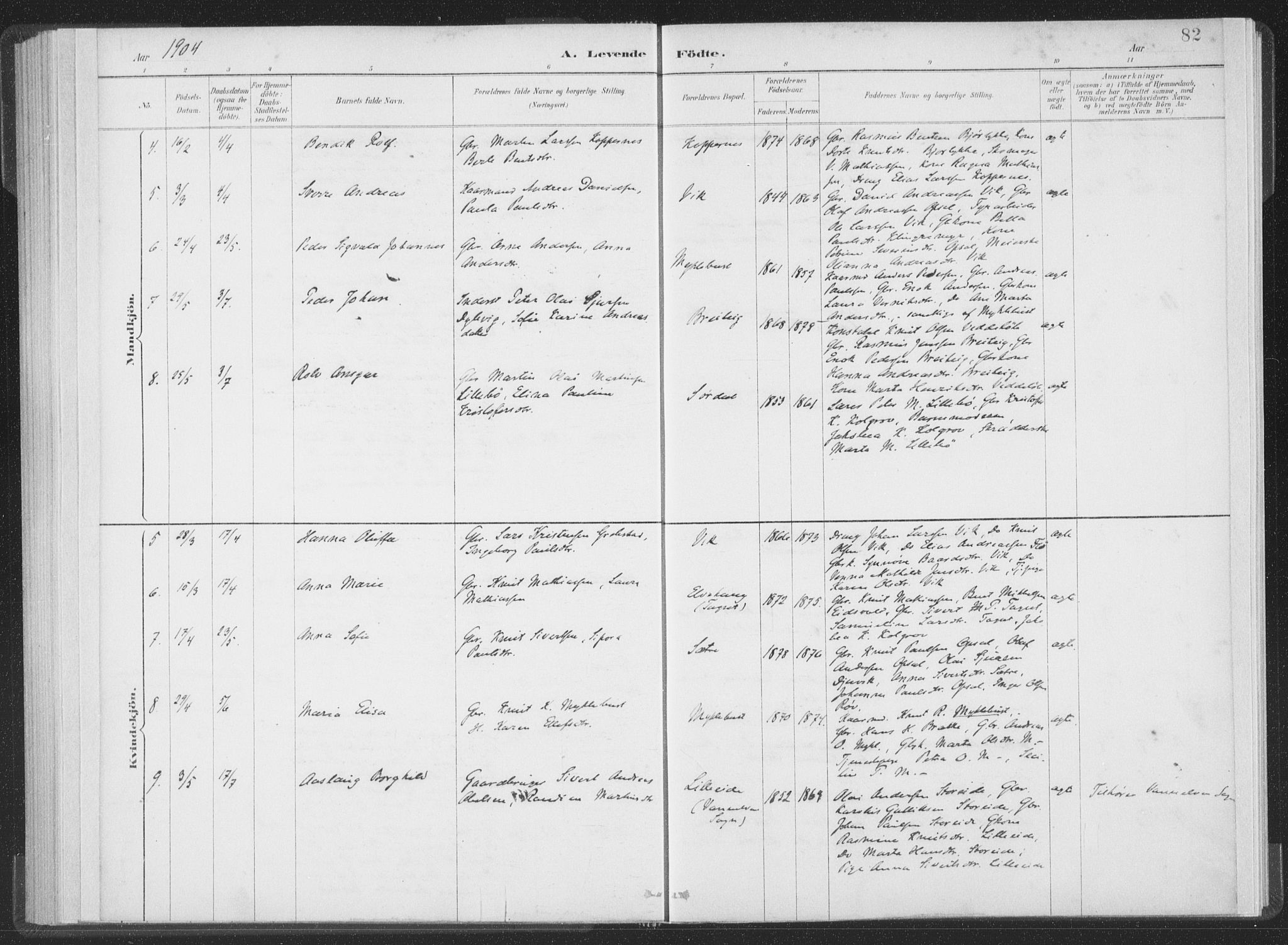 Ministerialprotokoller, klokkerbøker og fødselsregistre - Møre og Romsdal, AV/SAT-A-1454/502/L0025: Parish register (official) no. 502A03, 1885-1909, p. 82