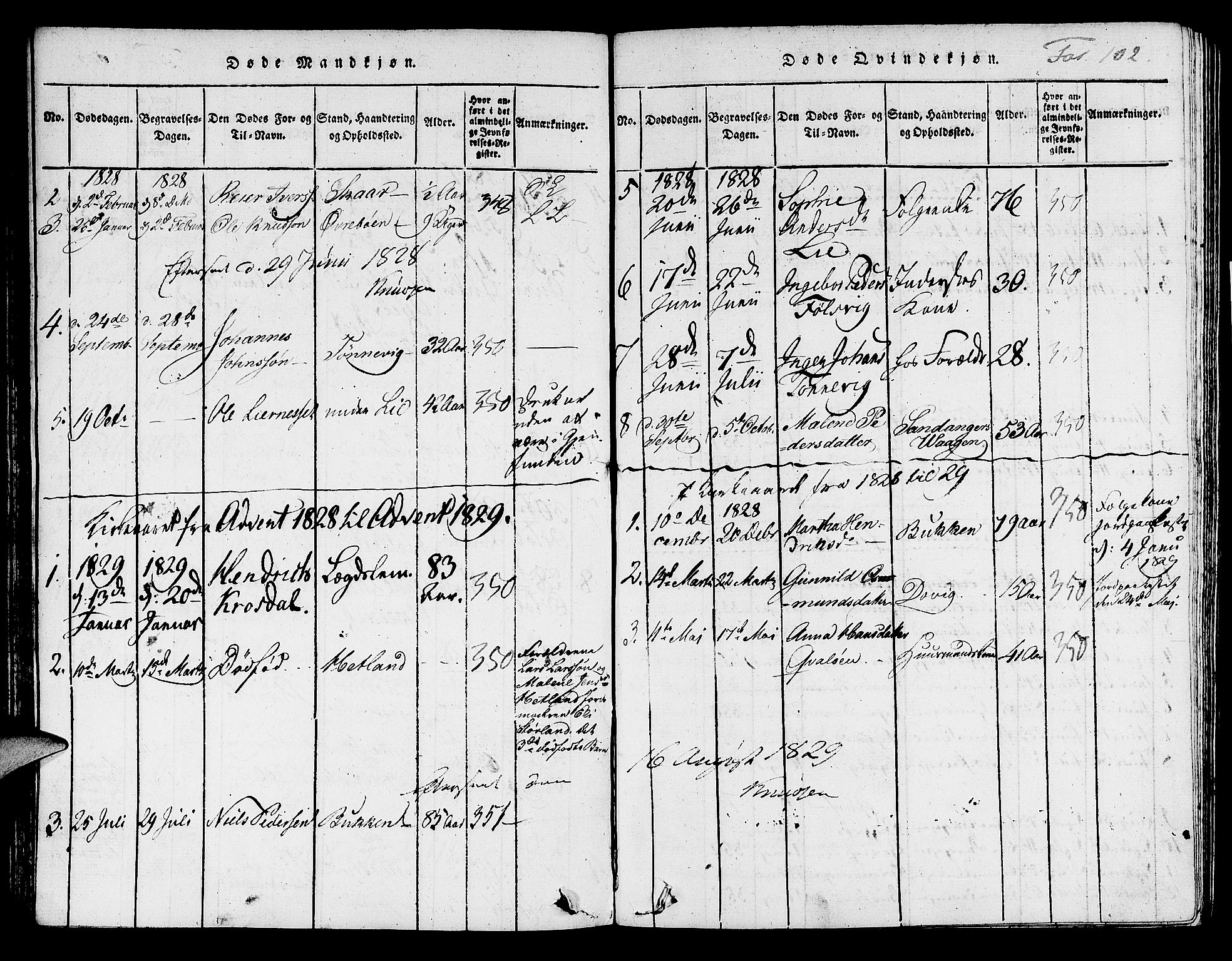 Hjelmeland sokneprestkontor, AV/SAST-A-101843/01/IV/L0004: Parish register (official) no. A 4, 1816-1834, p. 102