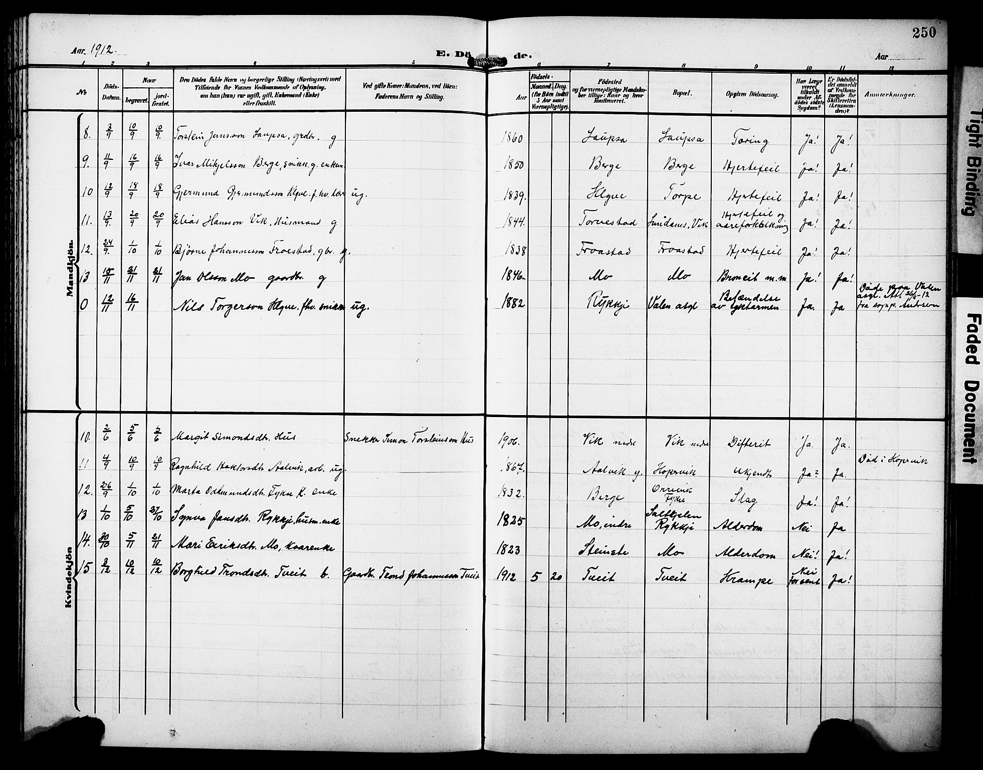 Kvam sokneprestembete, SAB/A-76201/H/Hab: Parish register (copy) no. C 4, 1906-1931, p. 250