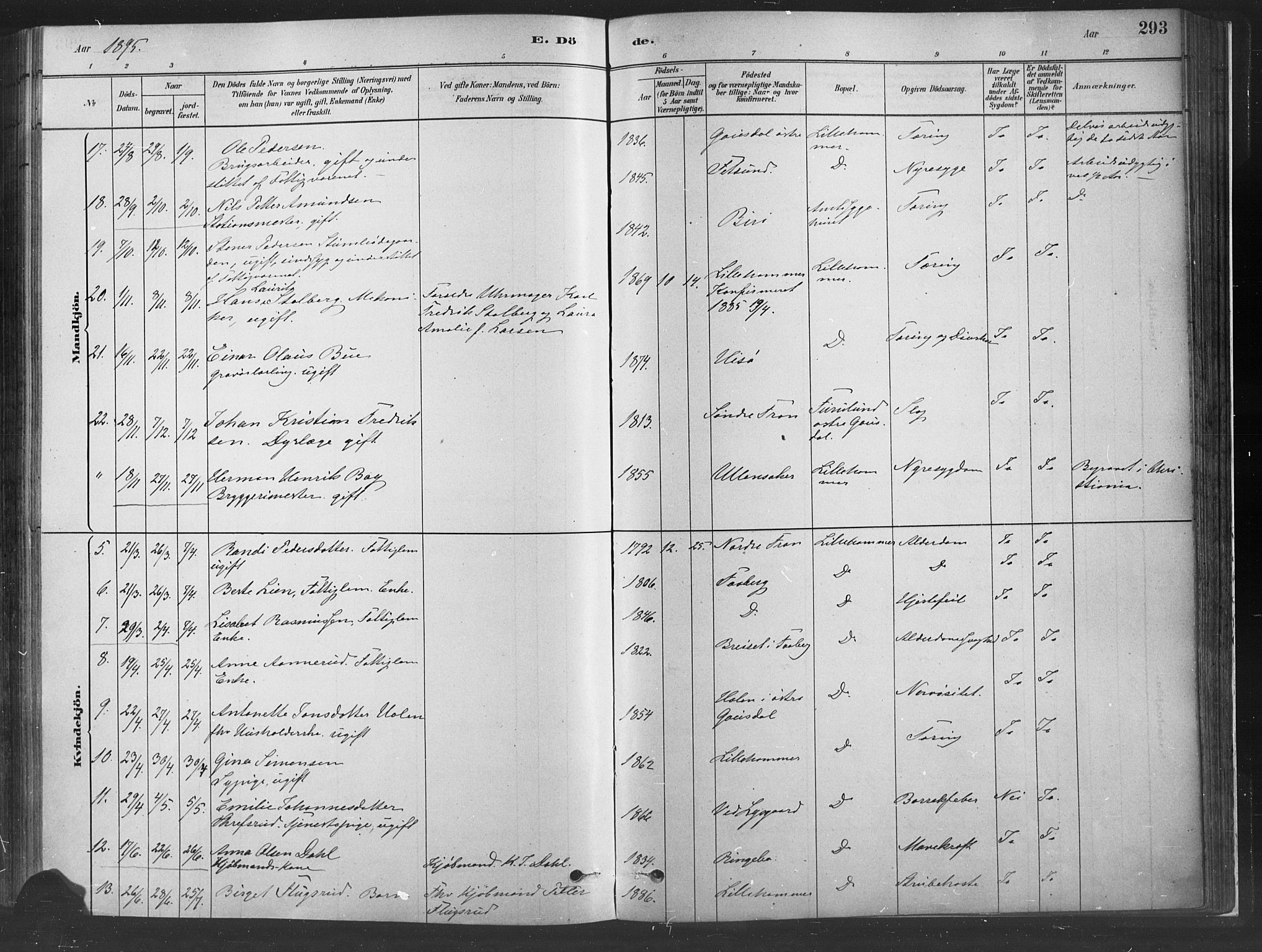 Fåberg prestekontor, AV/SAH-PREST-086/H/Ha/Haa/L0010: Parish register (official) no. 10, 1879-1900, p. 293