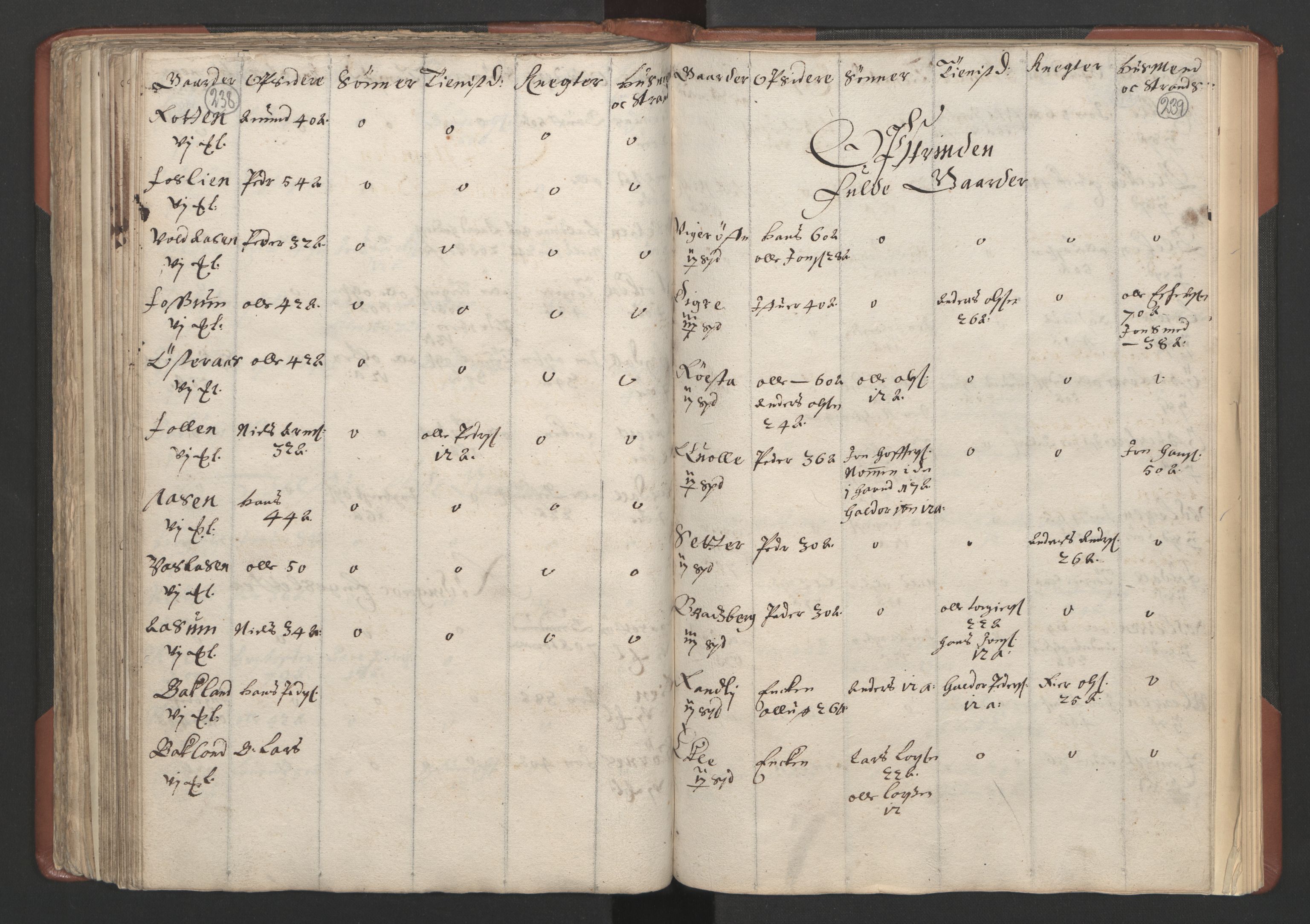 RA, Bailiff's Census 1664-1666, no. 18: Gauldal fogderi, Strinda fogderi and Orkdal fogderi, 1664, p. 238-239