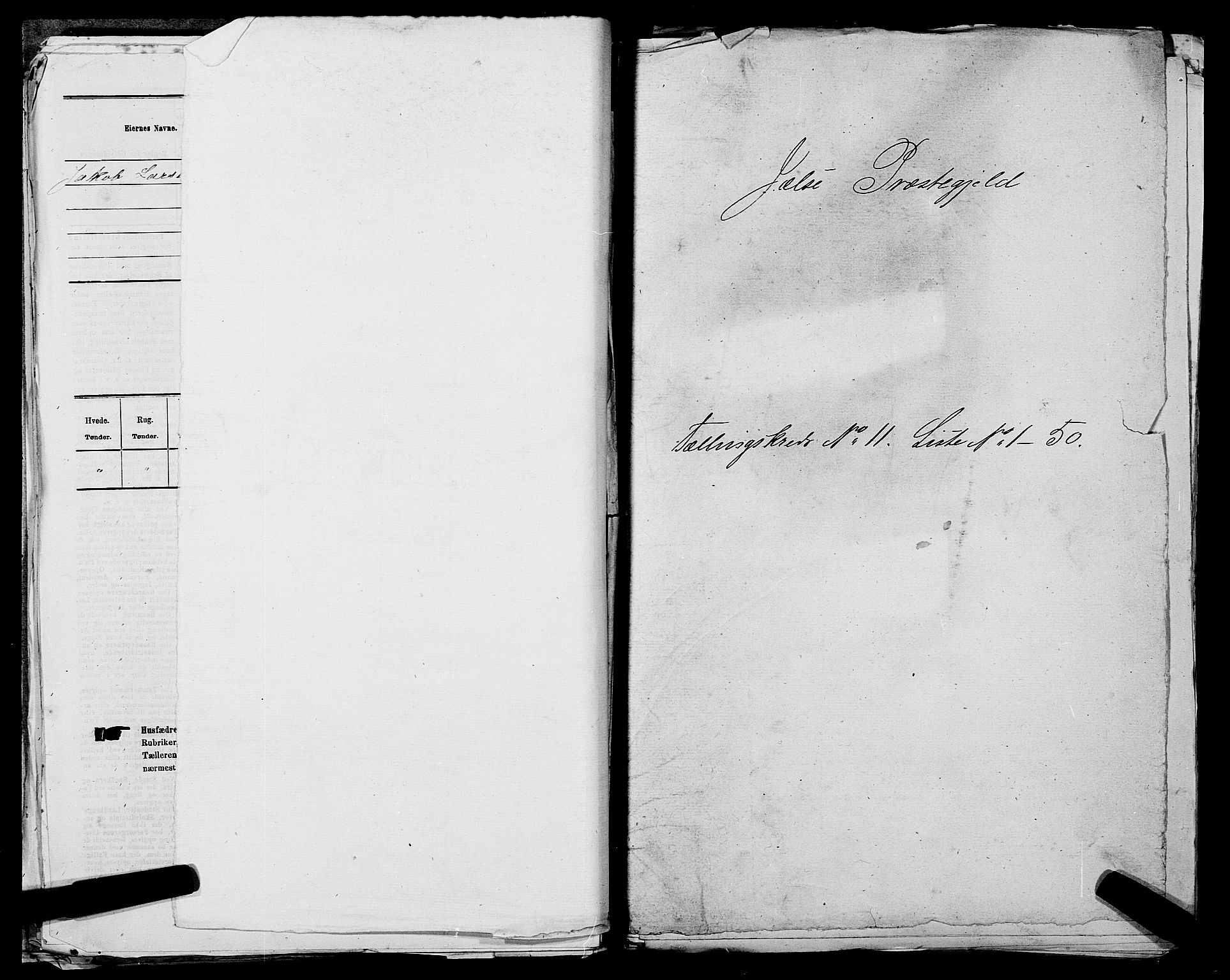 SAST, 1875 census for 1138P Jelsa, 1875, p. 973