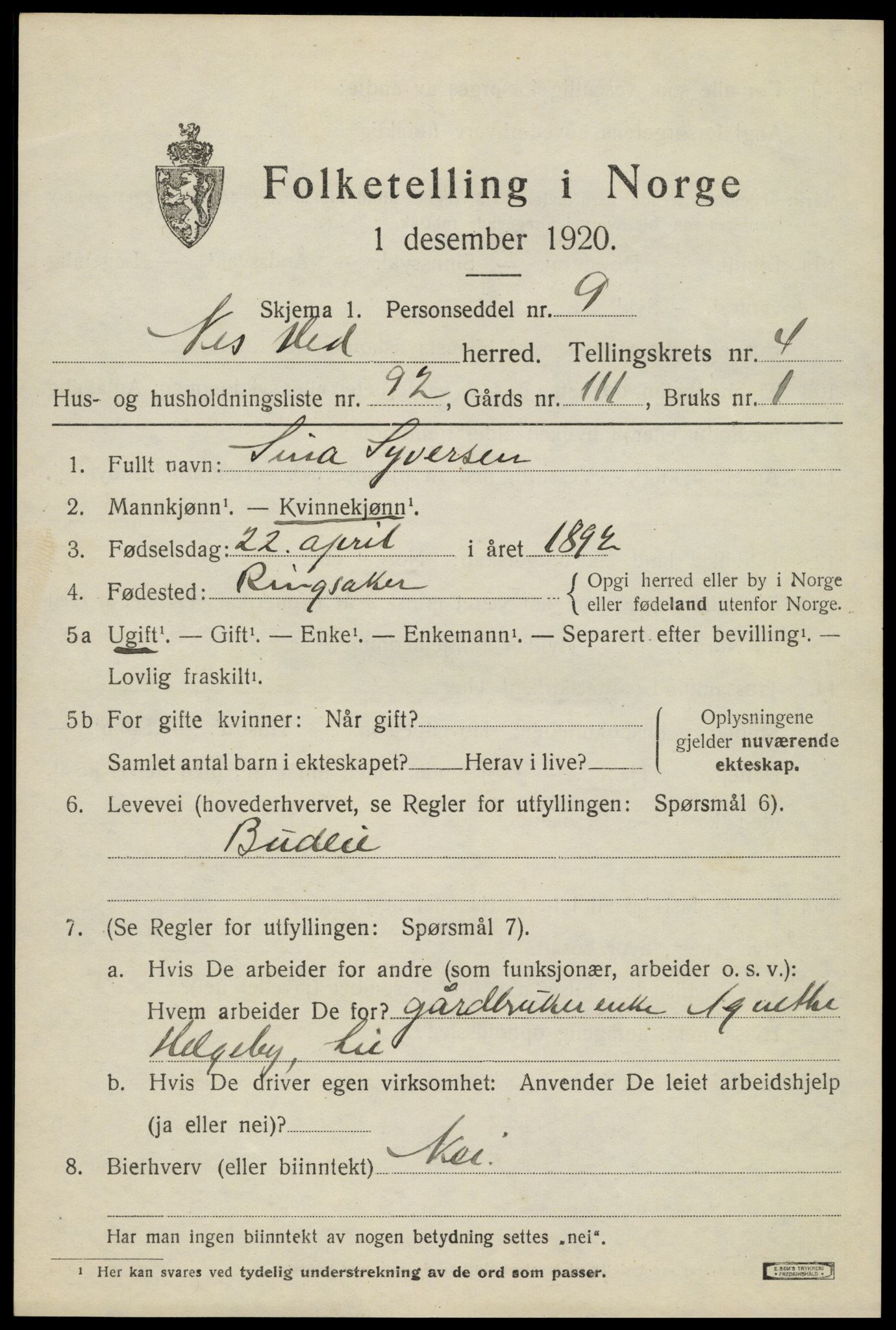 SAH, 1920 census for Nes (Hedmark), 1920, p. 6634