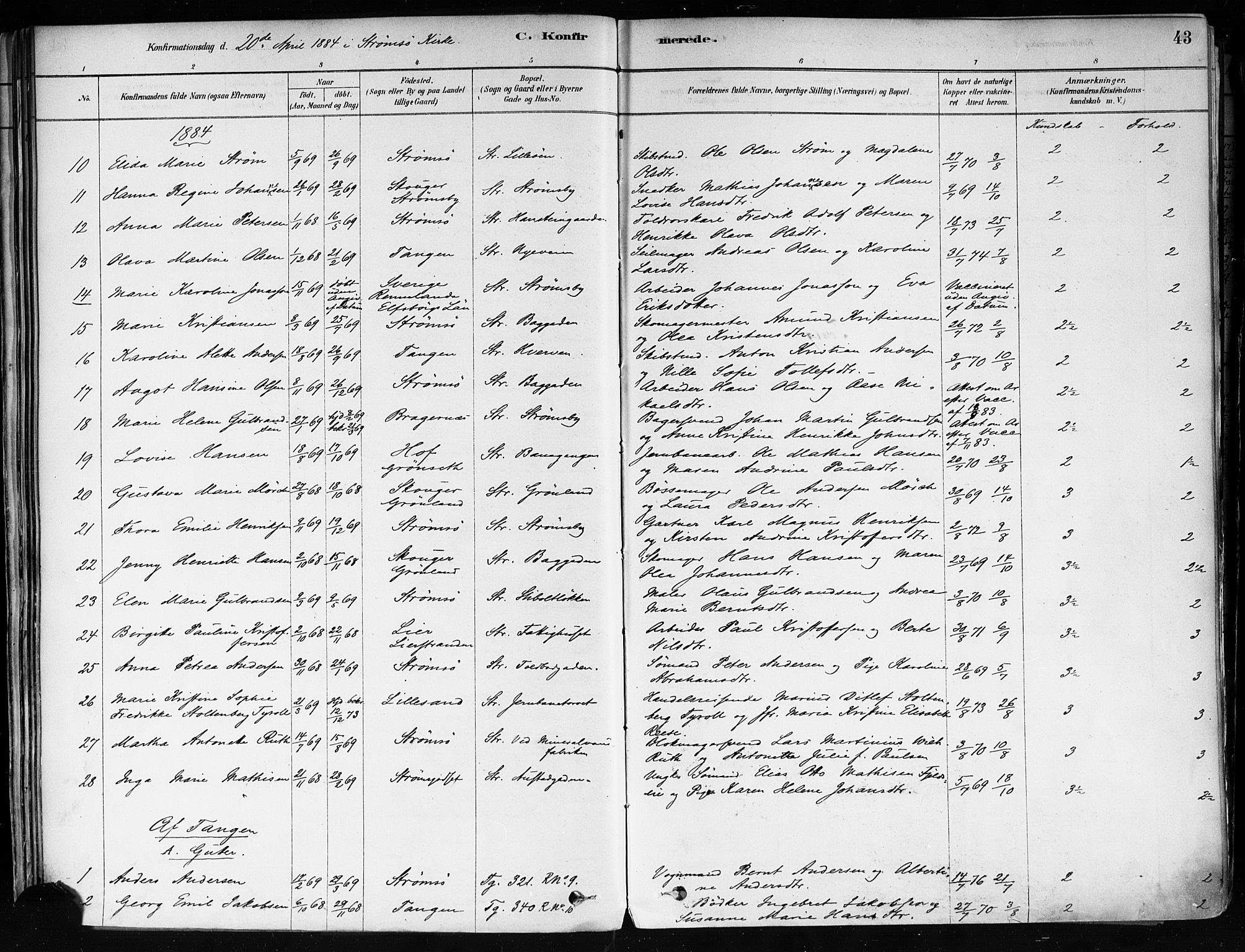 Strømsø kirkebøker, AV/SAKO-A-246/F/Fa/L0022: Parish register (official) no. I 22, 1879-1899, p. 43