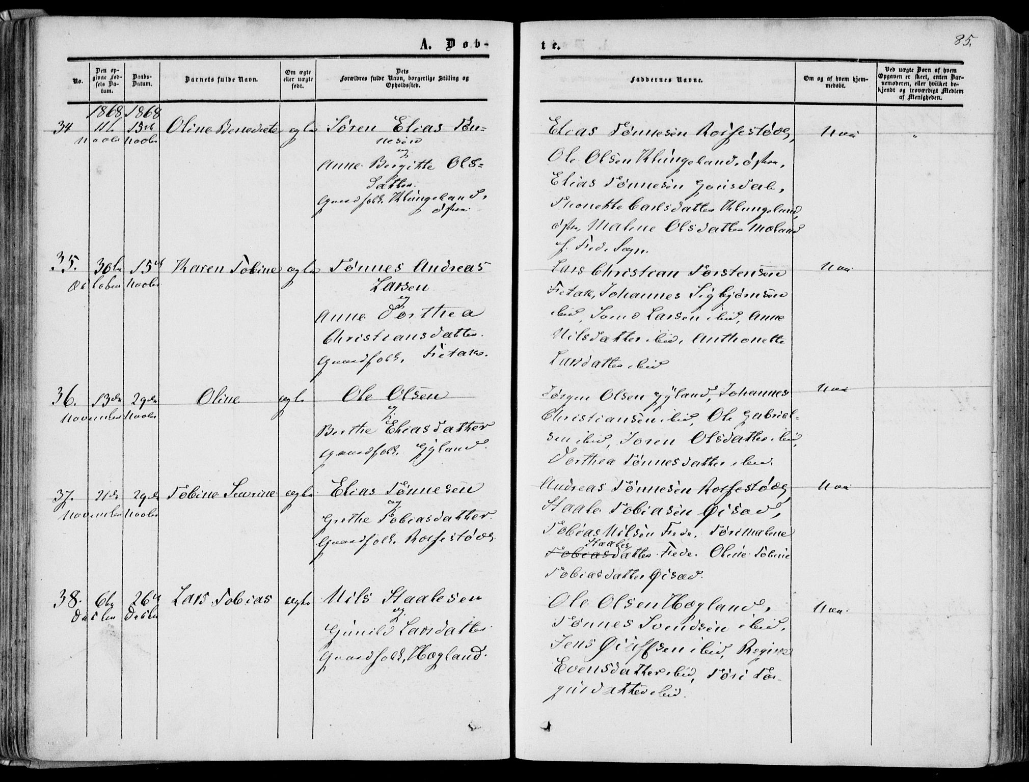 Bakke sokneprestkontor, AV/SAK-1111-0002/F/Fa/Fab/L0002: Parish register (official) no. A 2, 1855-1884, p. 85