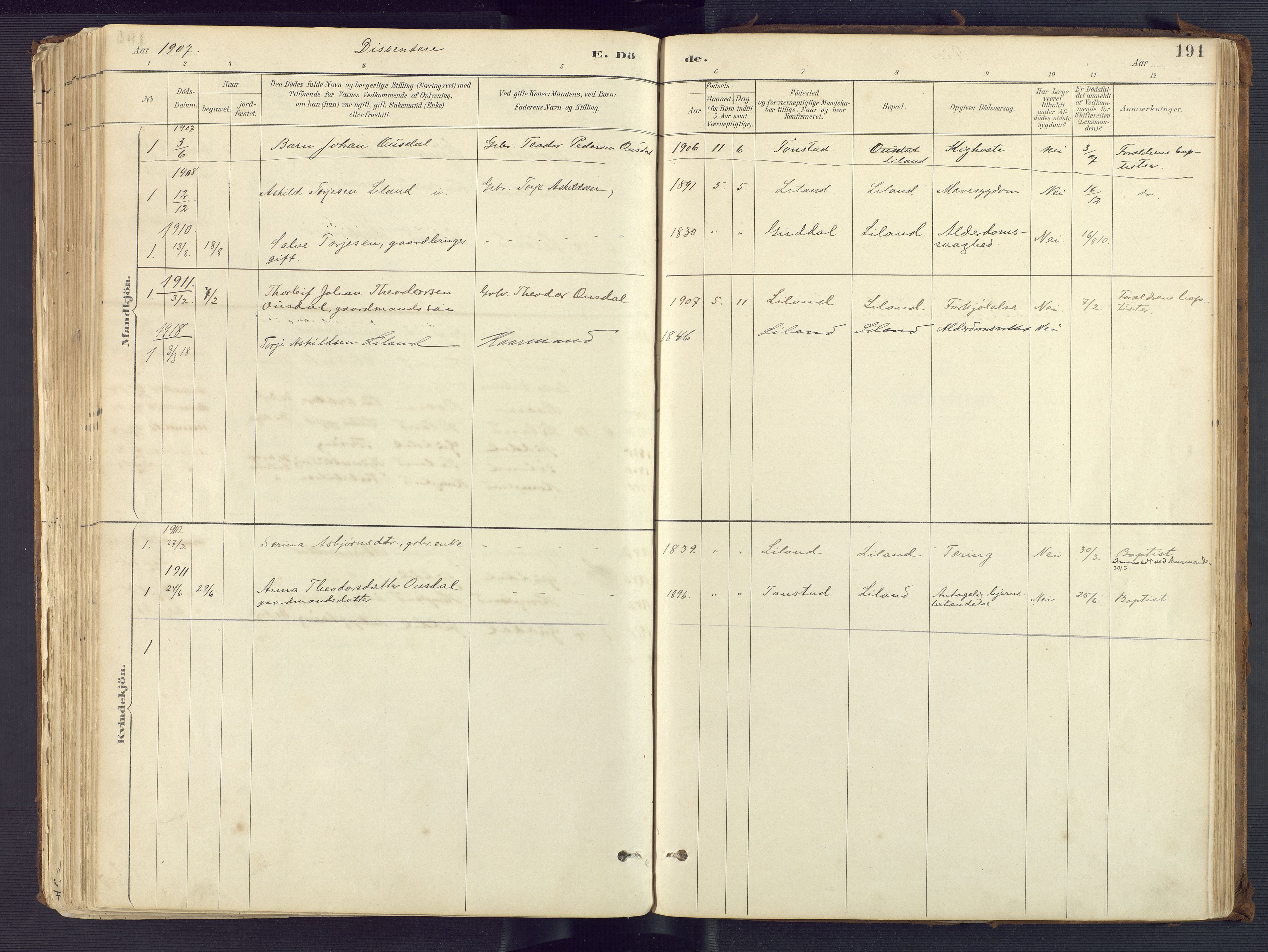 Sirdal sokneprestkontor, SAK/1111-0036/F/Fa/Fab/L0004: Parish register (official) no. A 4, 1887-1919, p. 191