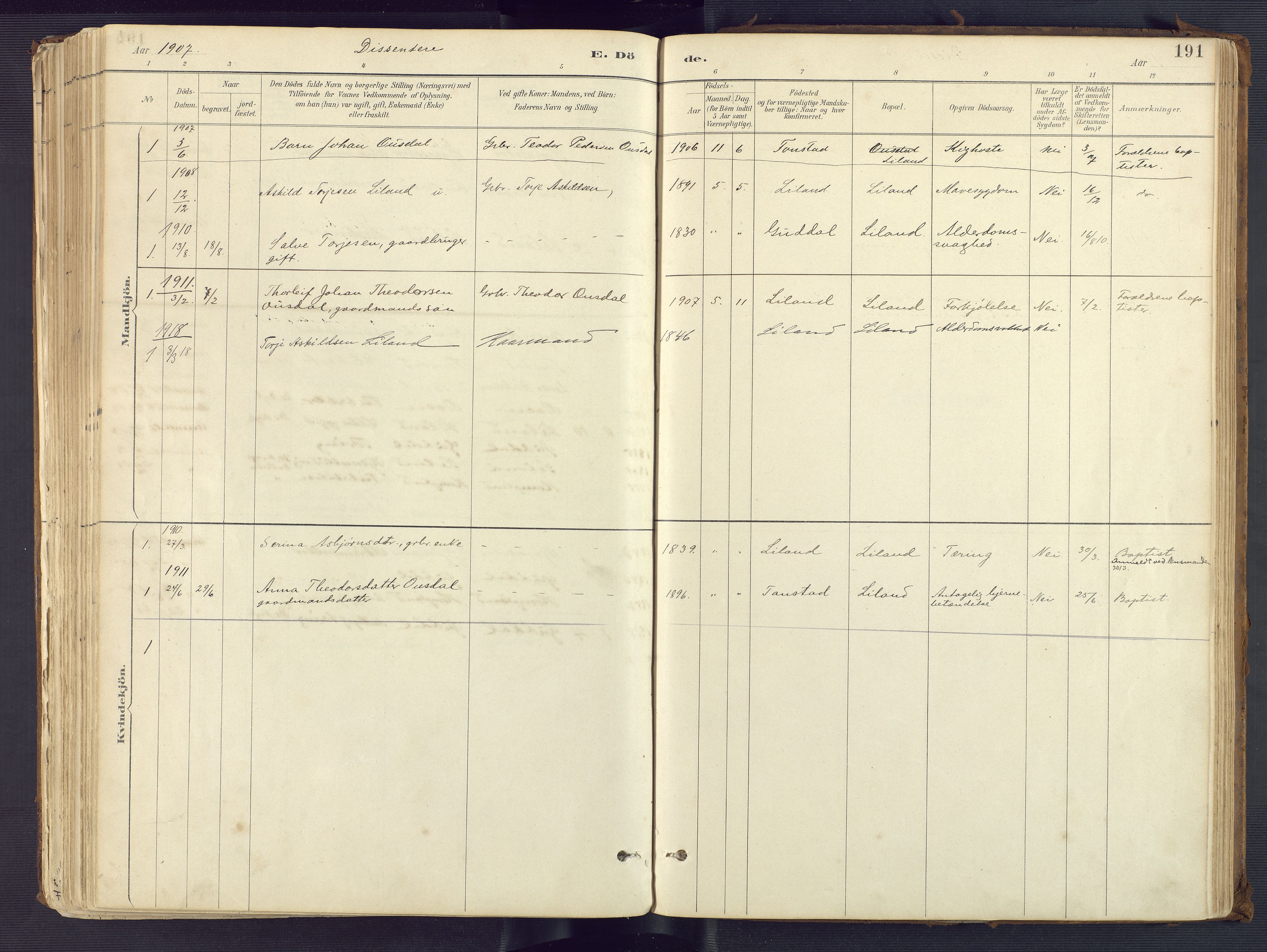 Sirdal sokneprestkontor, AV/SAK-1111-0036/F/Fa/Fab/L0004: Parish register (official) no. A 4, 1887-1919, p. 191