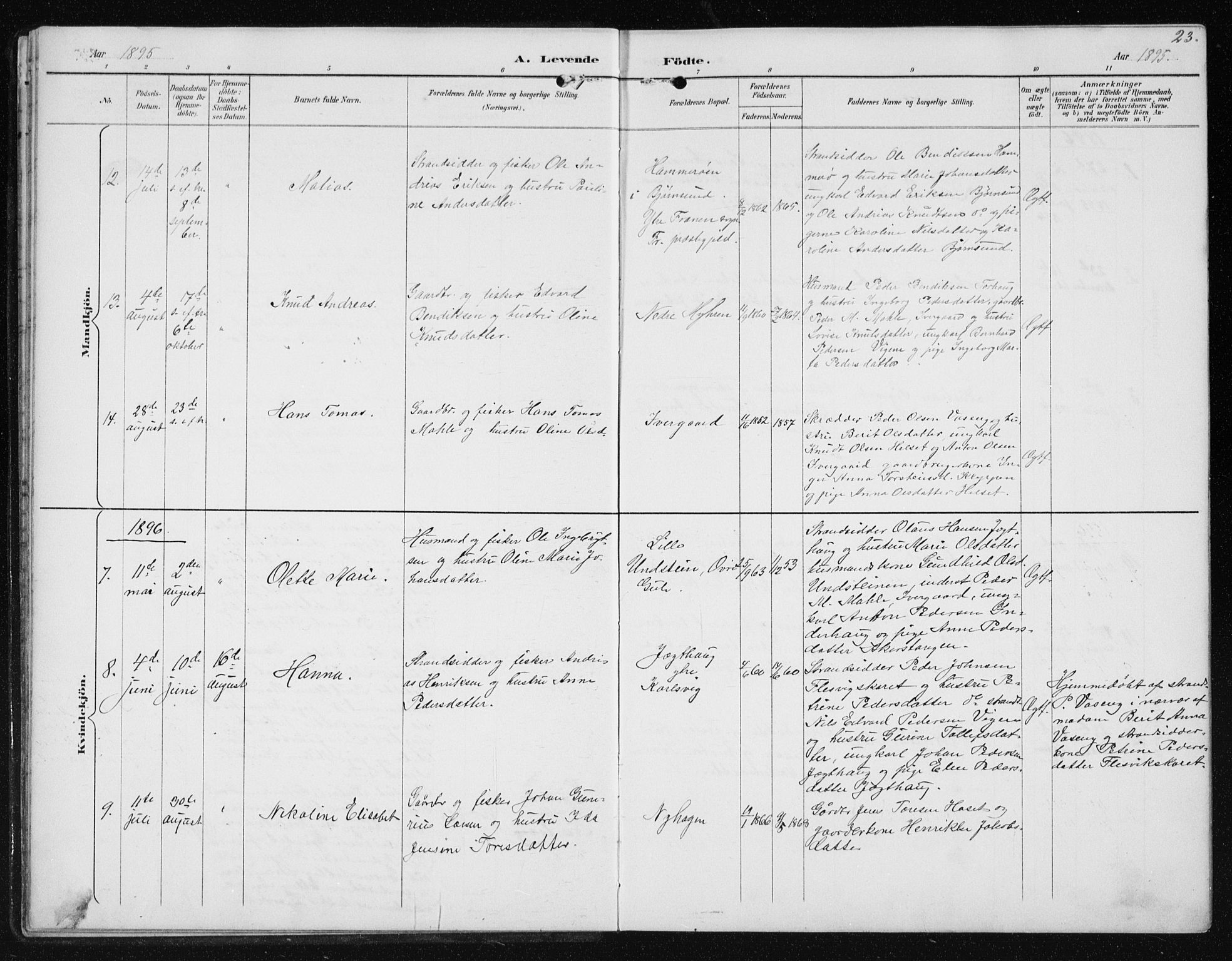 Ministerialprotokoller, klokkerbøker og fødselsregistre - Møre og Romsdal, AV/SAT-A-1454/566/L0773: Parish register (copy) no. 566C02, 1892-1909, p. 23