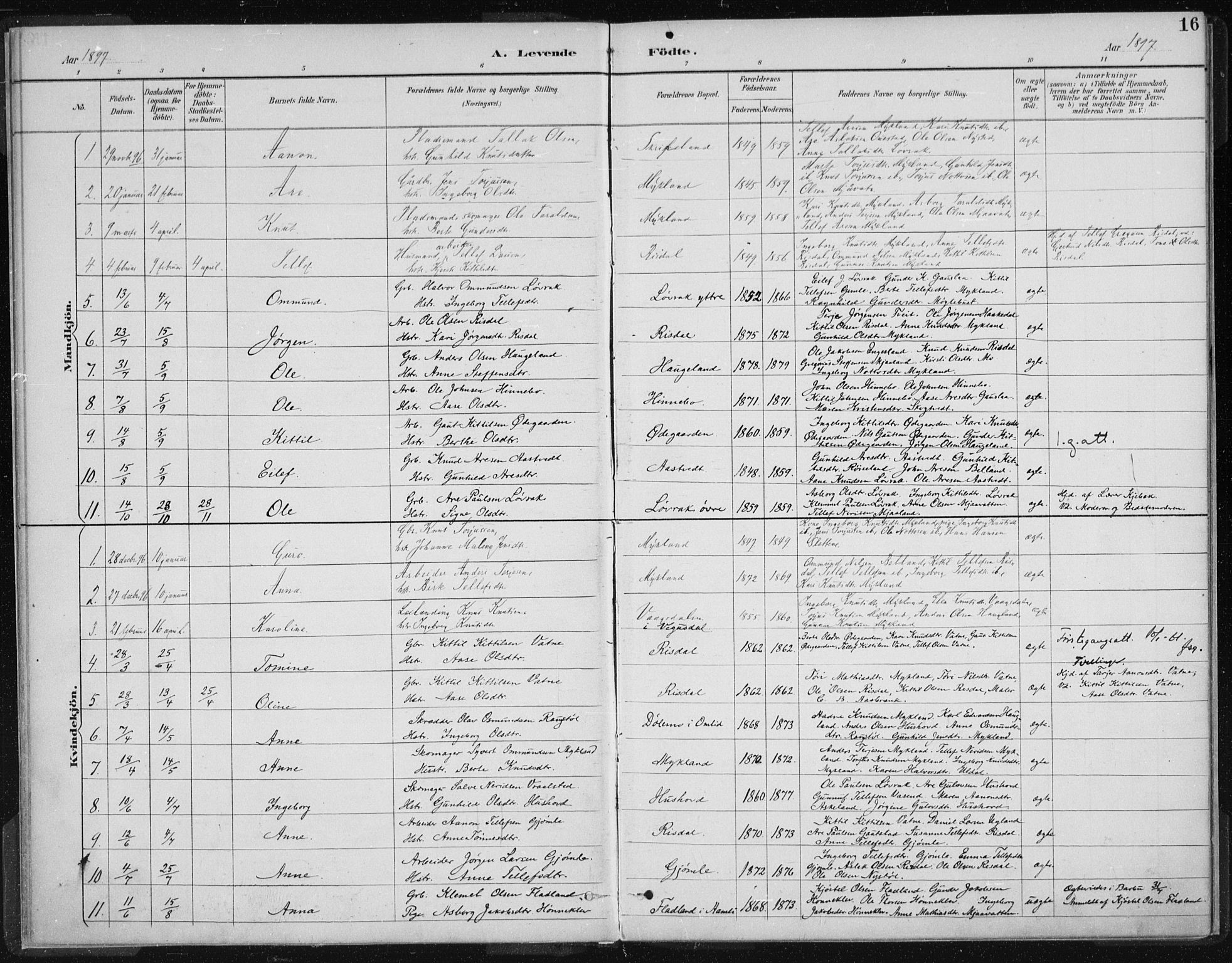 Herefoss sokneprestkontor, AV/SAK-1111-0019/F/Fa/Fac/L0002: Parish register (official) no. A 2, 1887-1915, p. 16