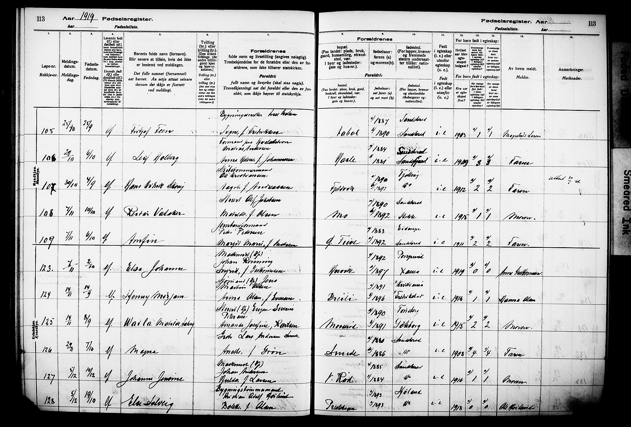 Sandar kirkebøker, AV/SAKO-A-243/J/Ja/L0001: Birth register no. 1, 1916-1922, p. 113