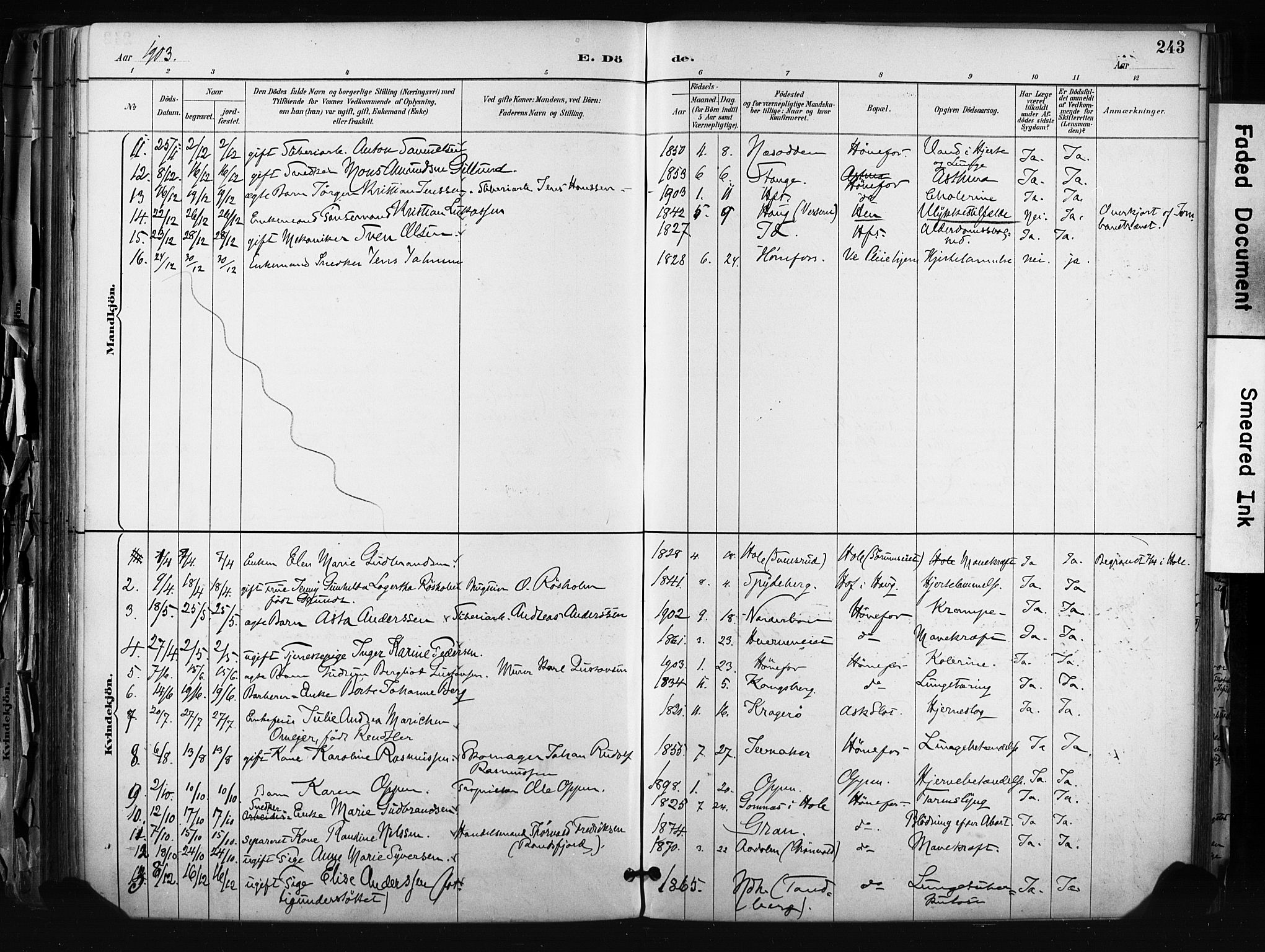 Hønefoss kirkebøker, AV/SAKO-A-609/F/Fa/L0002: Parish register (official) no. 2, 1887-1906, p. 243