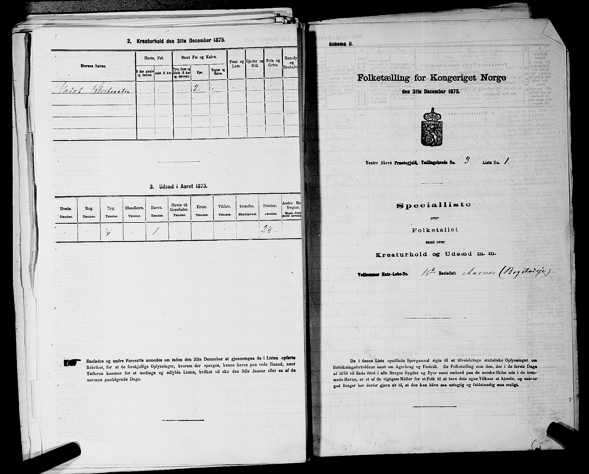 RA, 1875 census for 0218aP Vestre Aker, 1875, p. 807