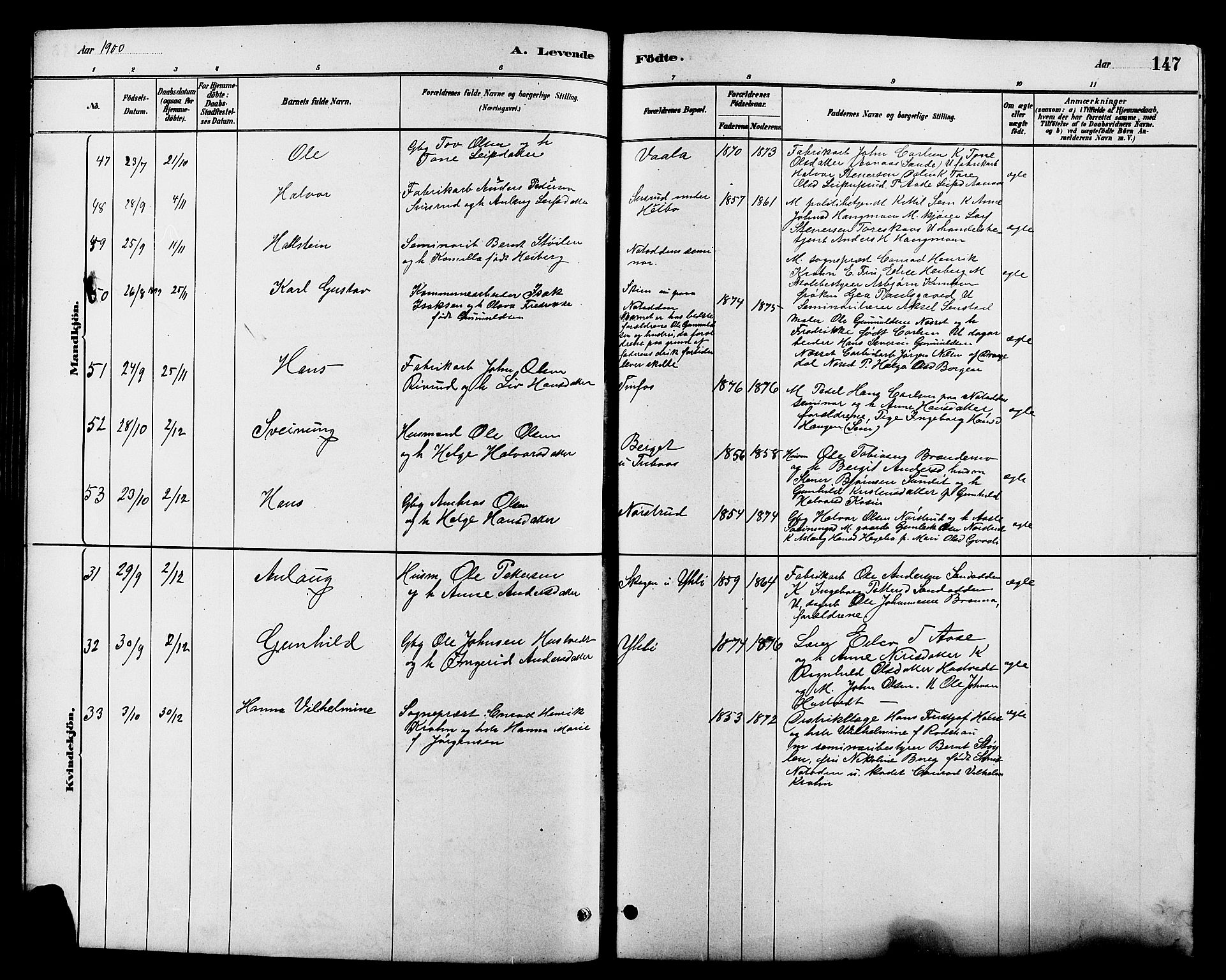 Heddal kirkebøker, AV/SAKO-A-268/G/Ga/L0002: Parish register (copy) no. I 2, 1879-1908, p. 147