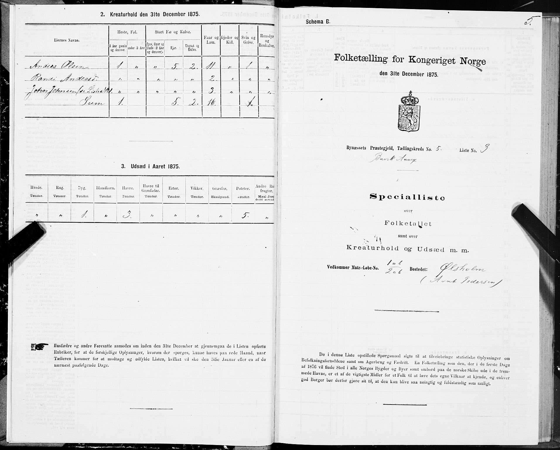 SAT, 1875 census for 1655P Byneset, 1875, p. 3005