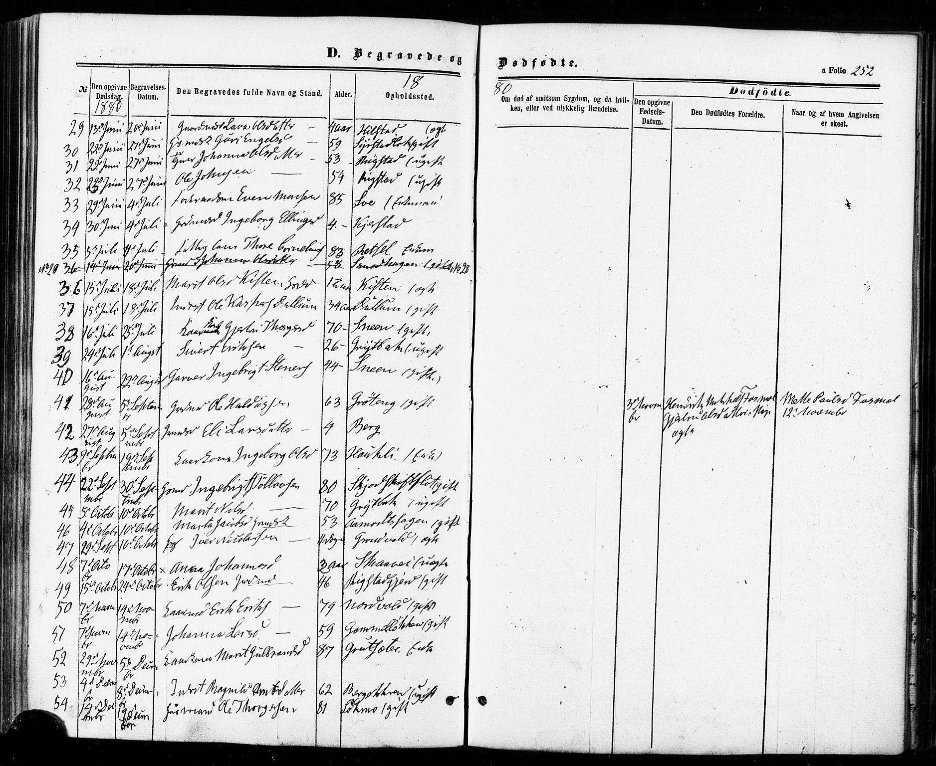 Ministerialprotokoller, klokkerbøker og fødselsregistre - Sør-Trøndelag, SAT/A-1456/672/L0856: Parish register (official) no. 672A08, 1861-1881, p. 252
