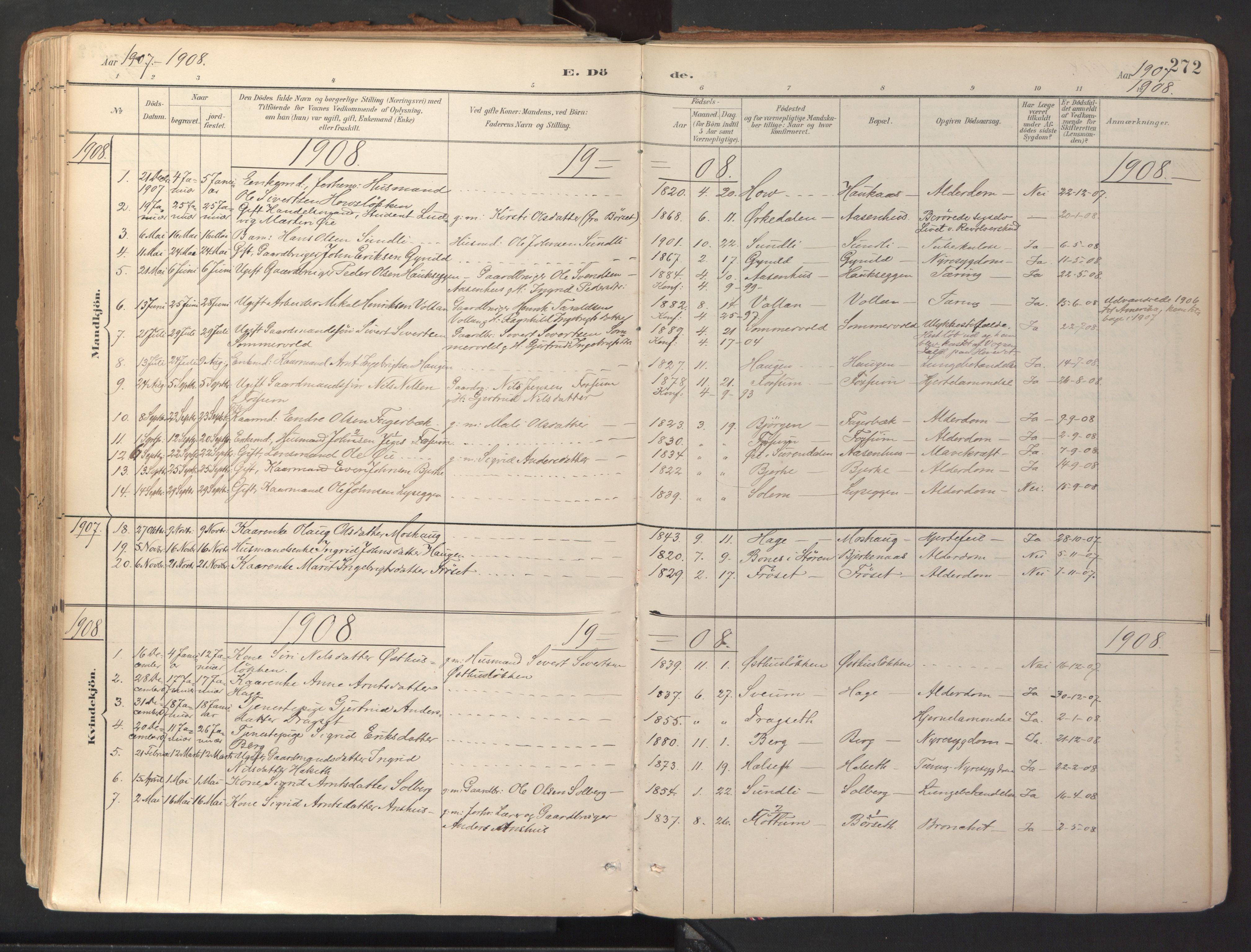 Ministerialprotokoller, klokkerbøker og fødselsregistre - Sør-Trøndelag, SAT/A-1456/689/L1041: Parish register (official) no. 689A06, 1891-1923, p. 272