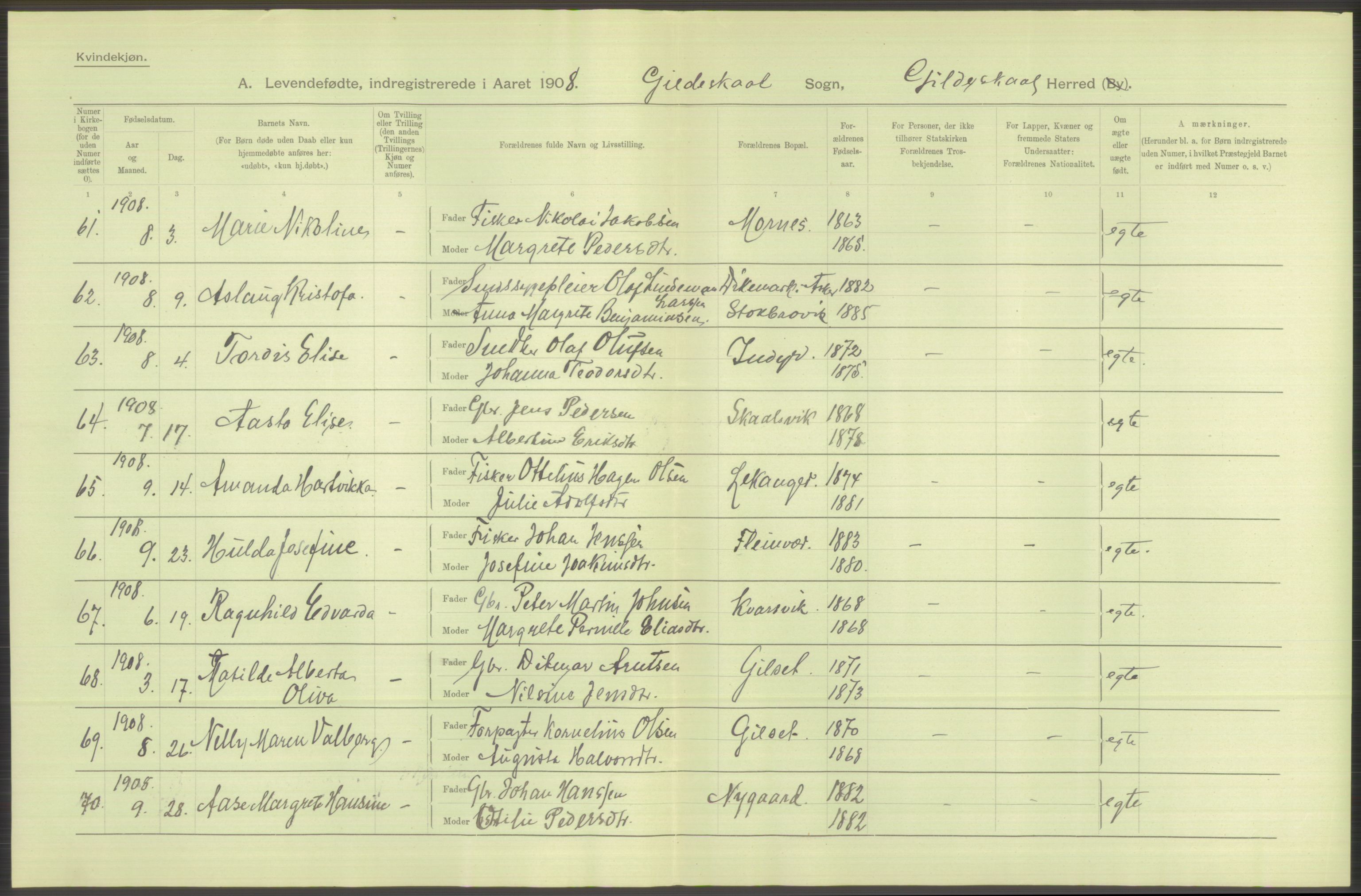 Statistisk sentralbyrå, Sosiodemografiske emner, Befolkning, AV/RA-S-2228/D/Df/Dfa/Dfaf/L0043: Nordlands amt: Levendefødte menn og kvinner. Bygder., 1908, p. 18