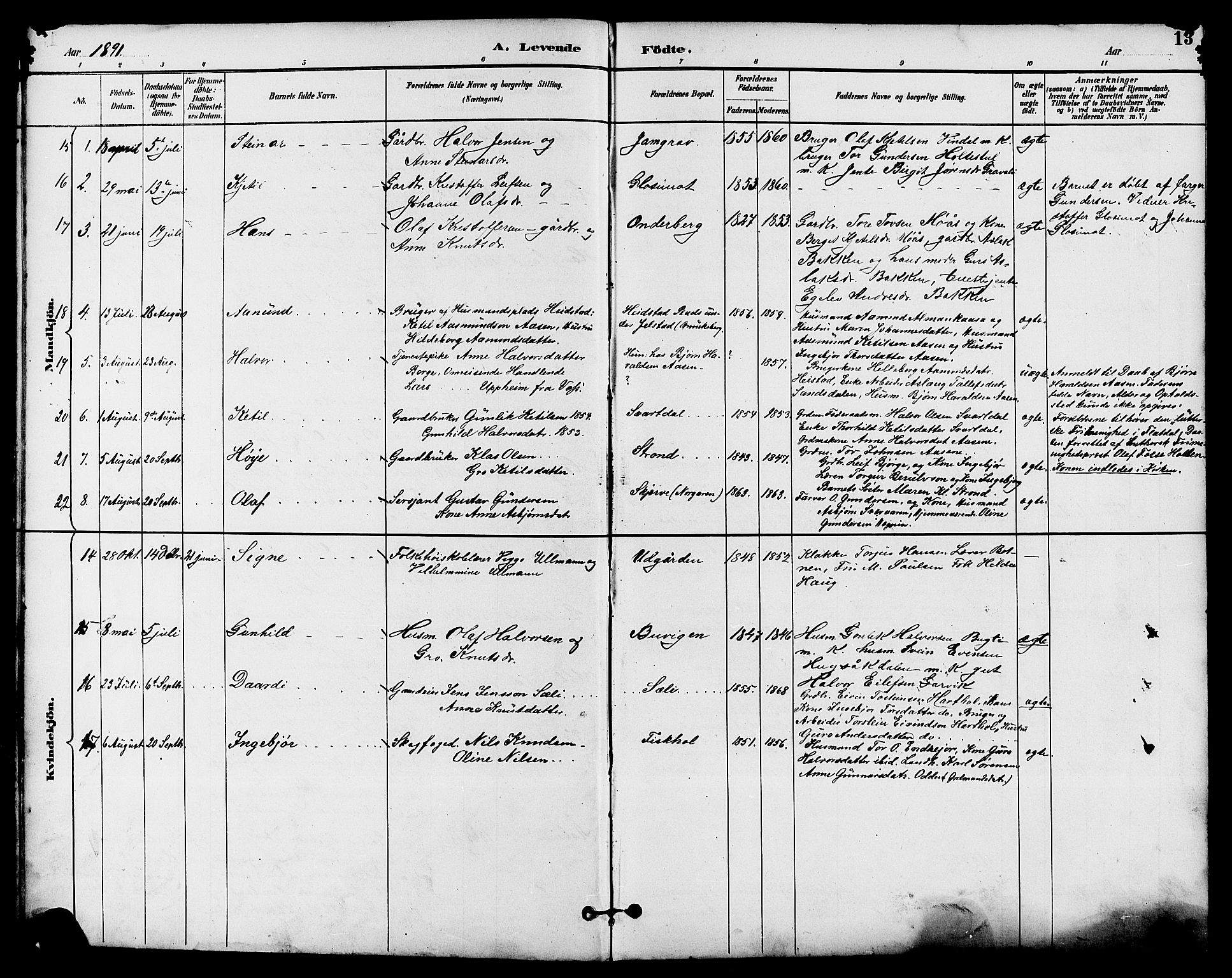 Seljord kirkebøker, SAKO/A-20/G/Ga/L0005: Parish register (copy) no. I 5, 1887-1914, p. 13
