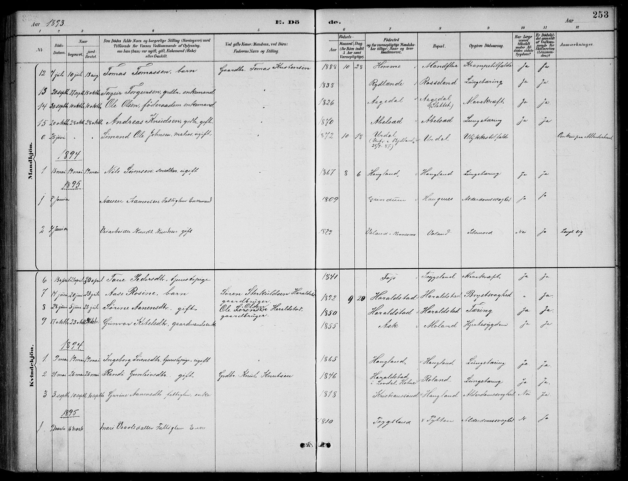 Bjelland sokneprestkontor, AV/SAK-1111-0005/F/Fb/Fba/L0005: Parish register (copy) no. B 5, 1887-1923, p. 253