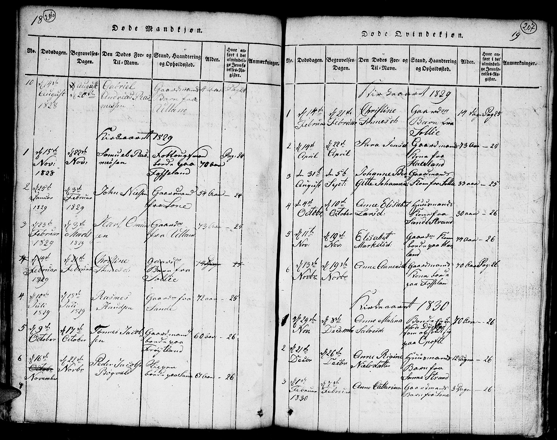 Kvinesdal sokneprestkontor, AV/SAK-1111-0026/F/Fb/Fba/L0001: Parish register (copy) no. B 1, 1815-1839, p. 206-207