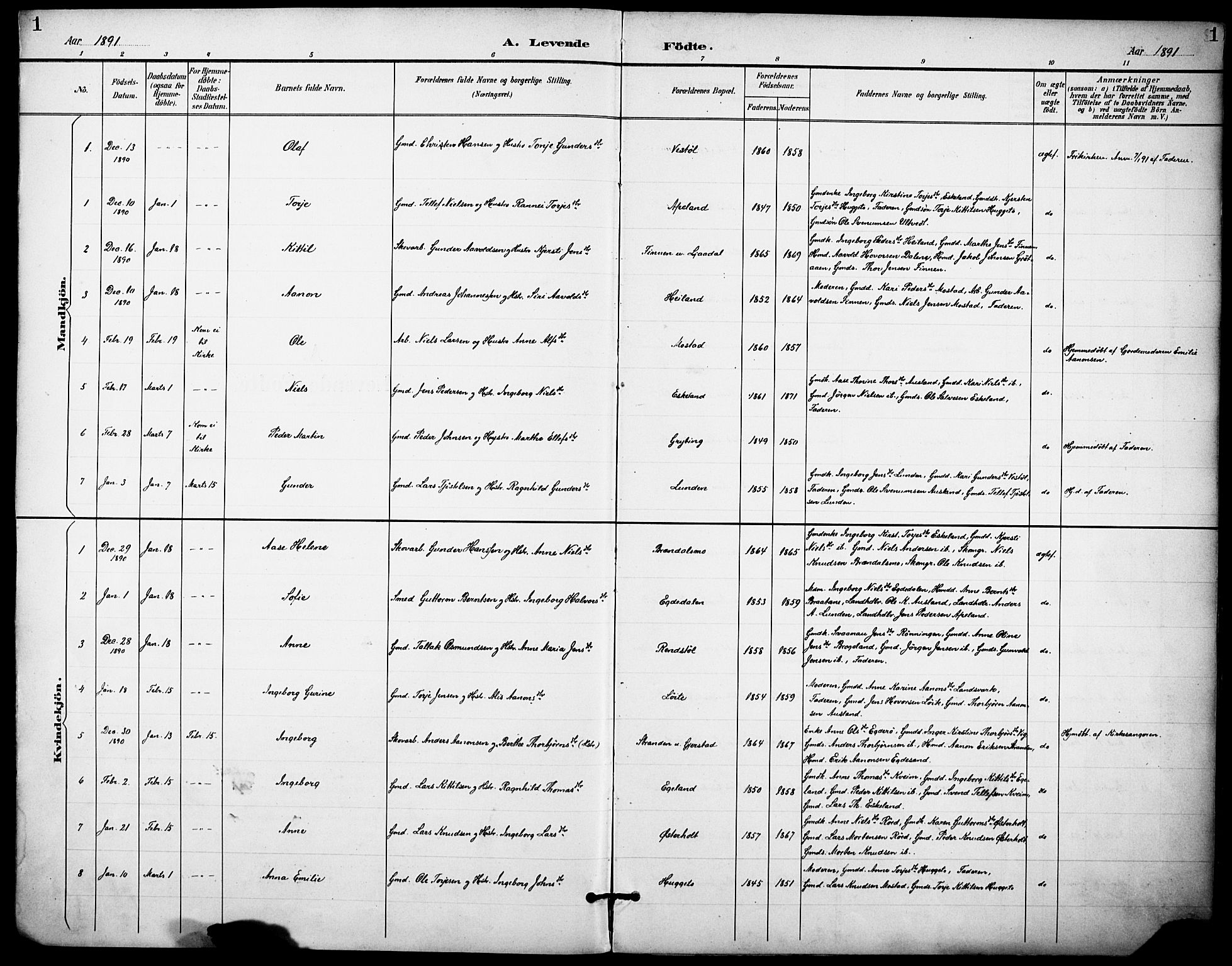 Gjerstad sokneprestkontor, AV/SAK-1111-0014/F/Fa/Faa/L0010: Parish register (official) no. A 10, 1891-1902, p. 1