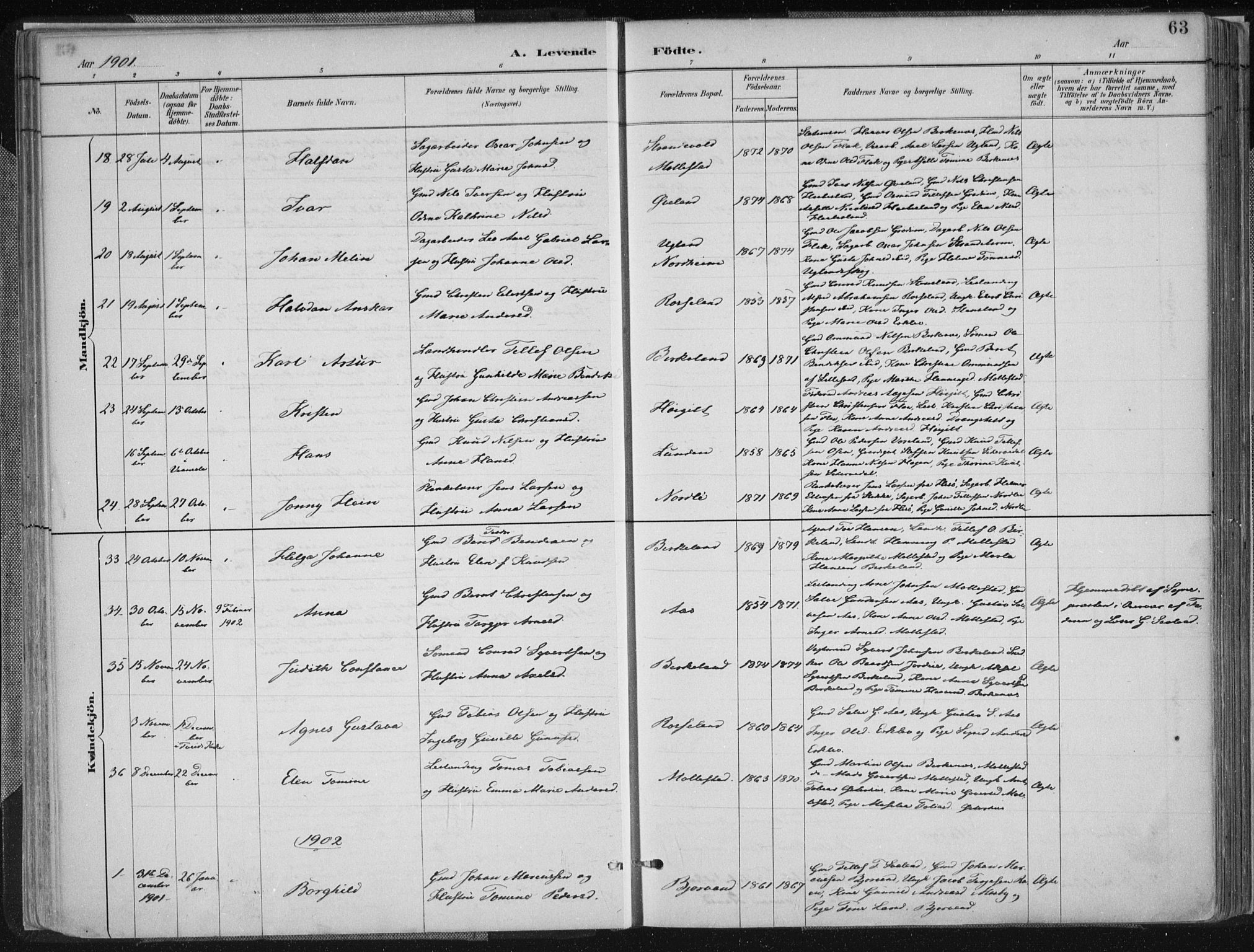 Birkenes sokneprestkontor, SAK/1111-0004/F/Fa/L0005: Parish register (official) no. A 5, 1887-1907, p. 63