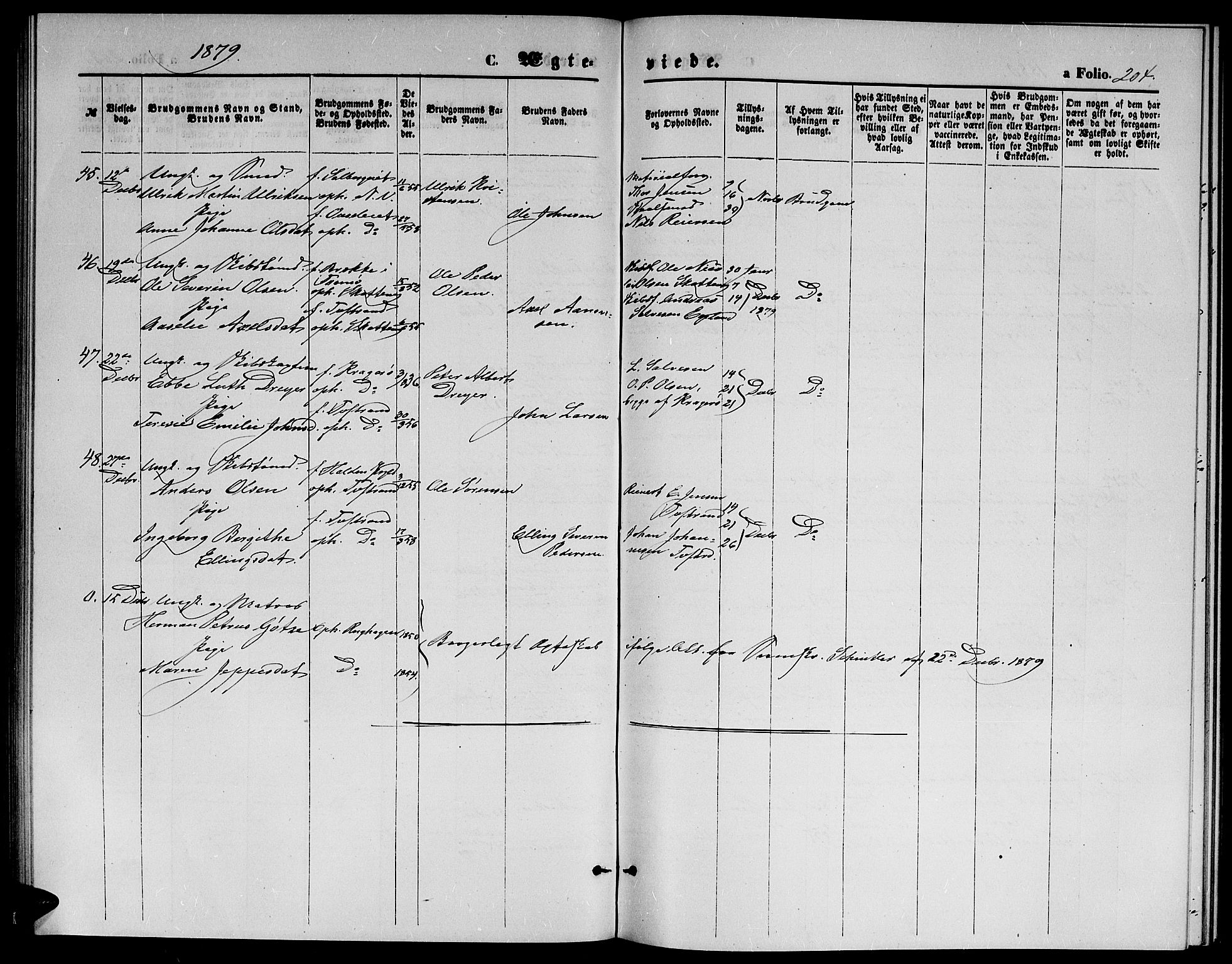 Holt sokneprestkontor, SAK/1111-0021/F/Fb/L0009: Parish register (copy) no. B 9, 1871-1883, p. 204