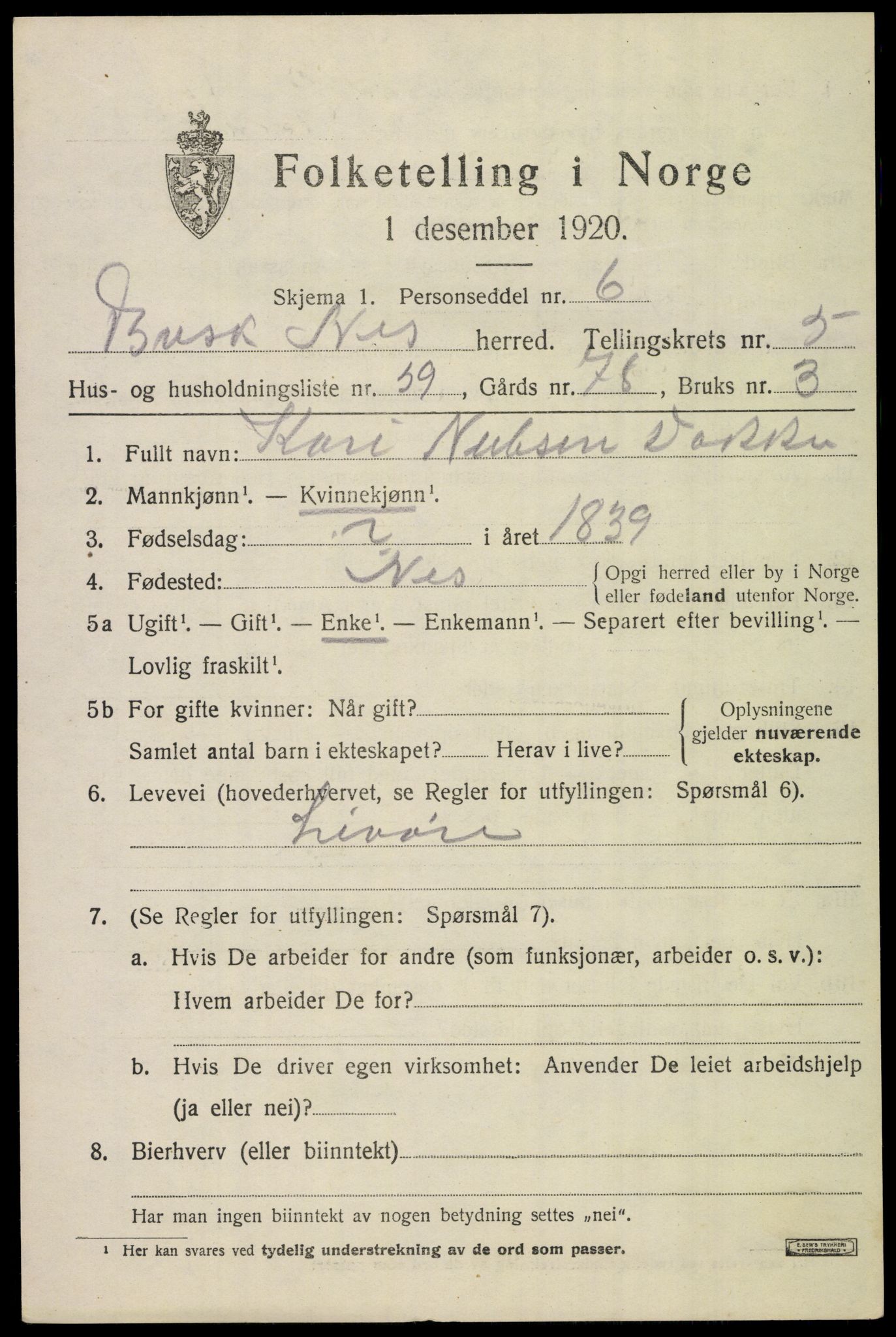 SAKO, 1920 census for Nes (Buskerud), 1920, p. 3040