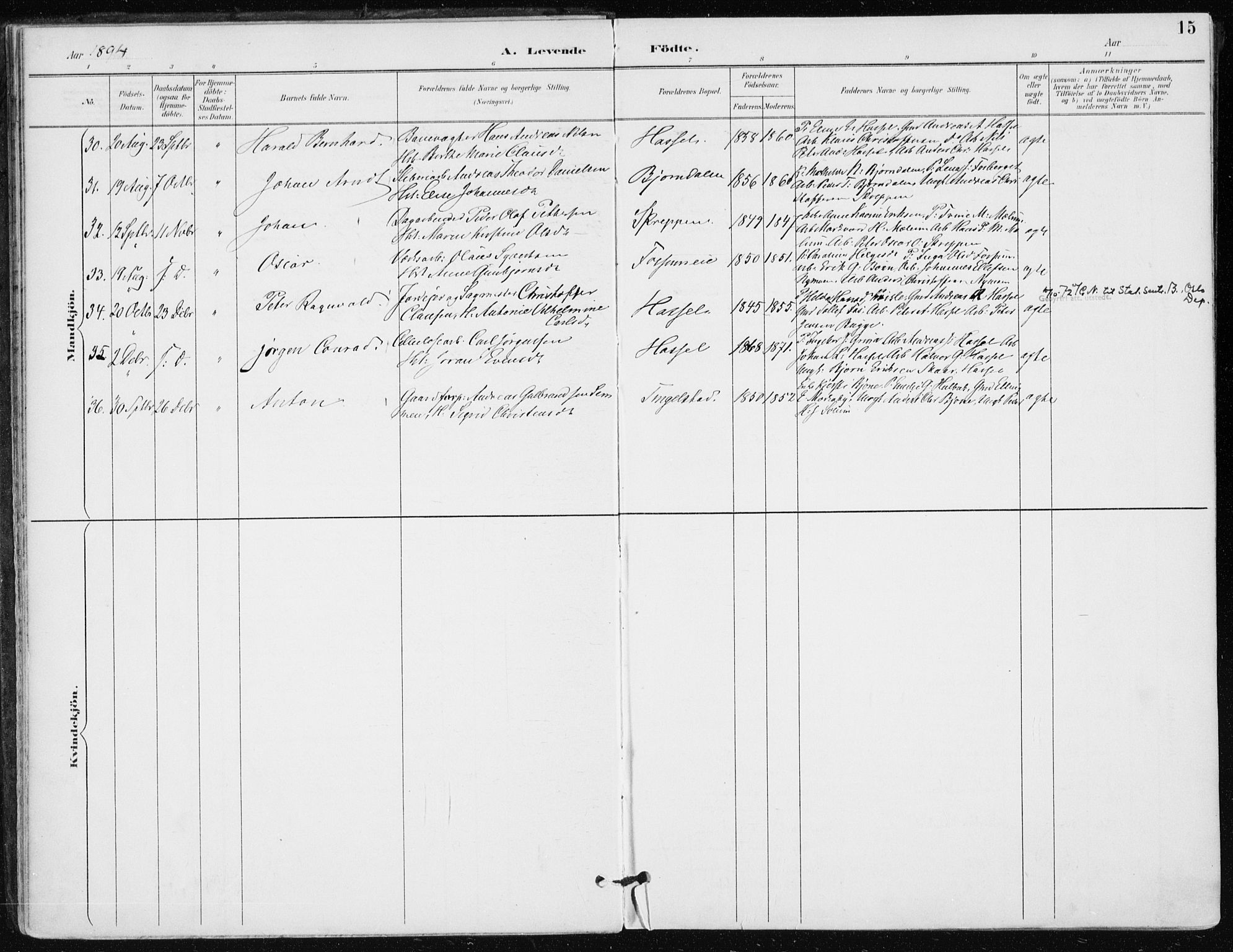 Modum kirkebøker, AV/SAKO-A-234/F/Fa/L0016: Parish register (official) no. 16, 1890-1899, p. 15