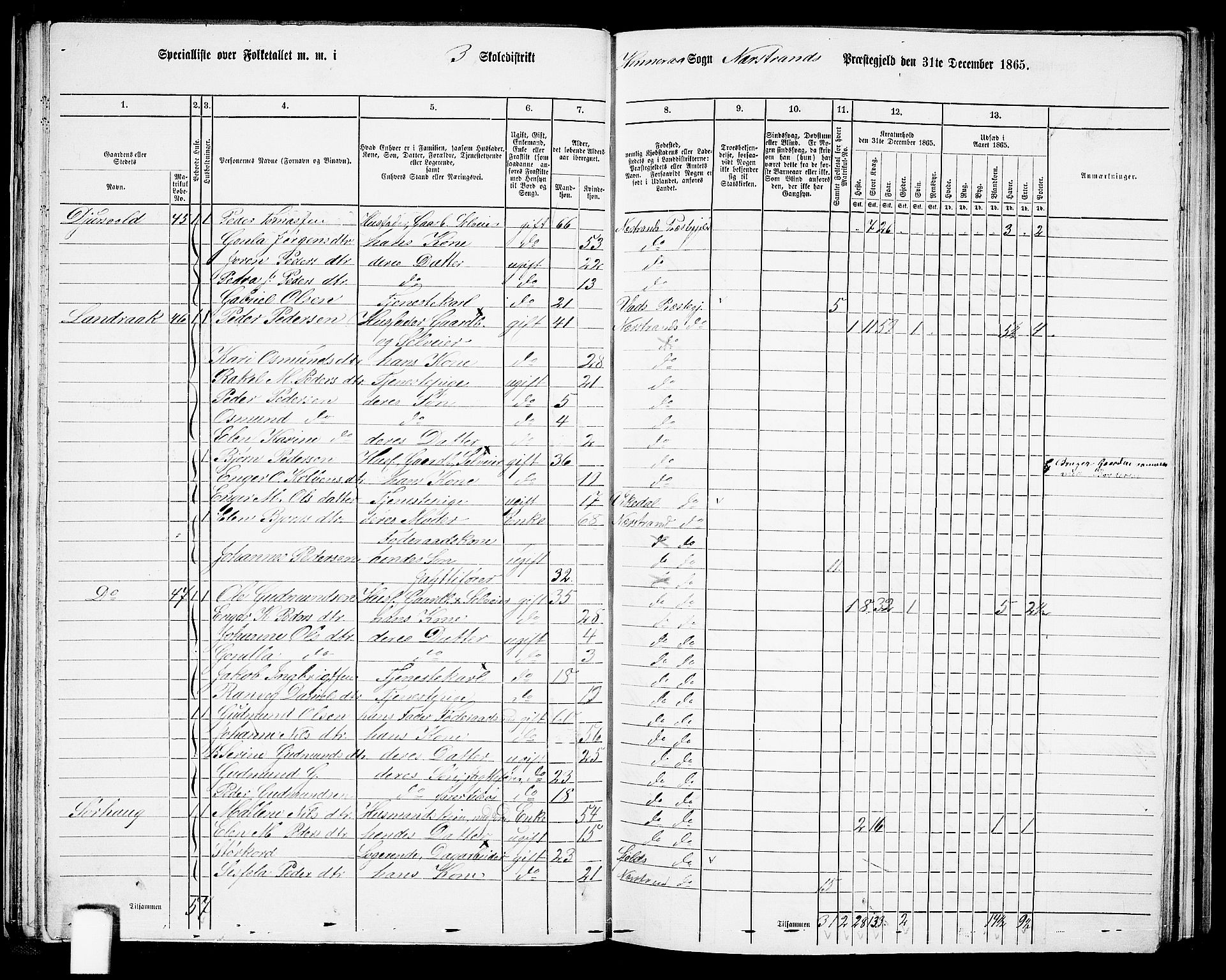 RA, 1865 census for Nedstrand, 1865, p. 45