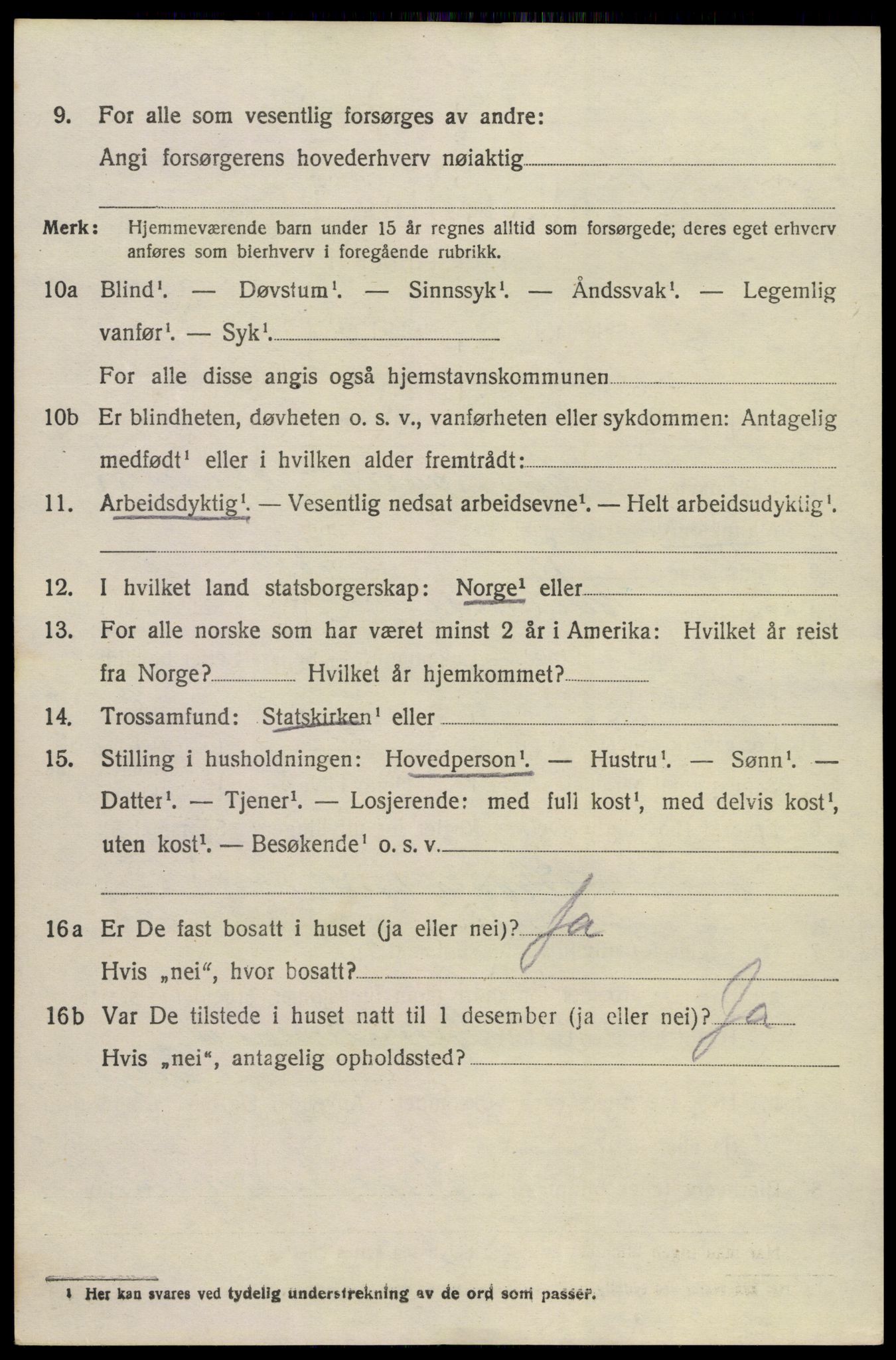SAKO, 1920 census for Brunlanes, 1920, p. 6126