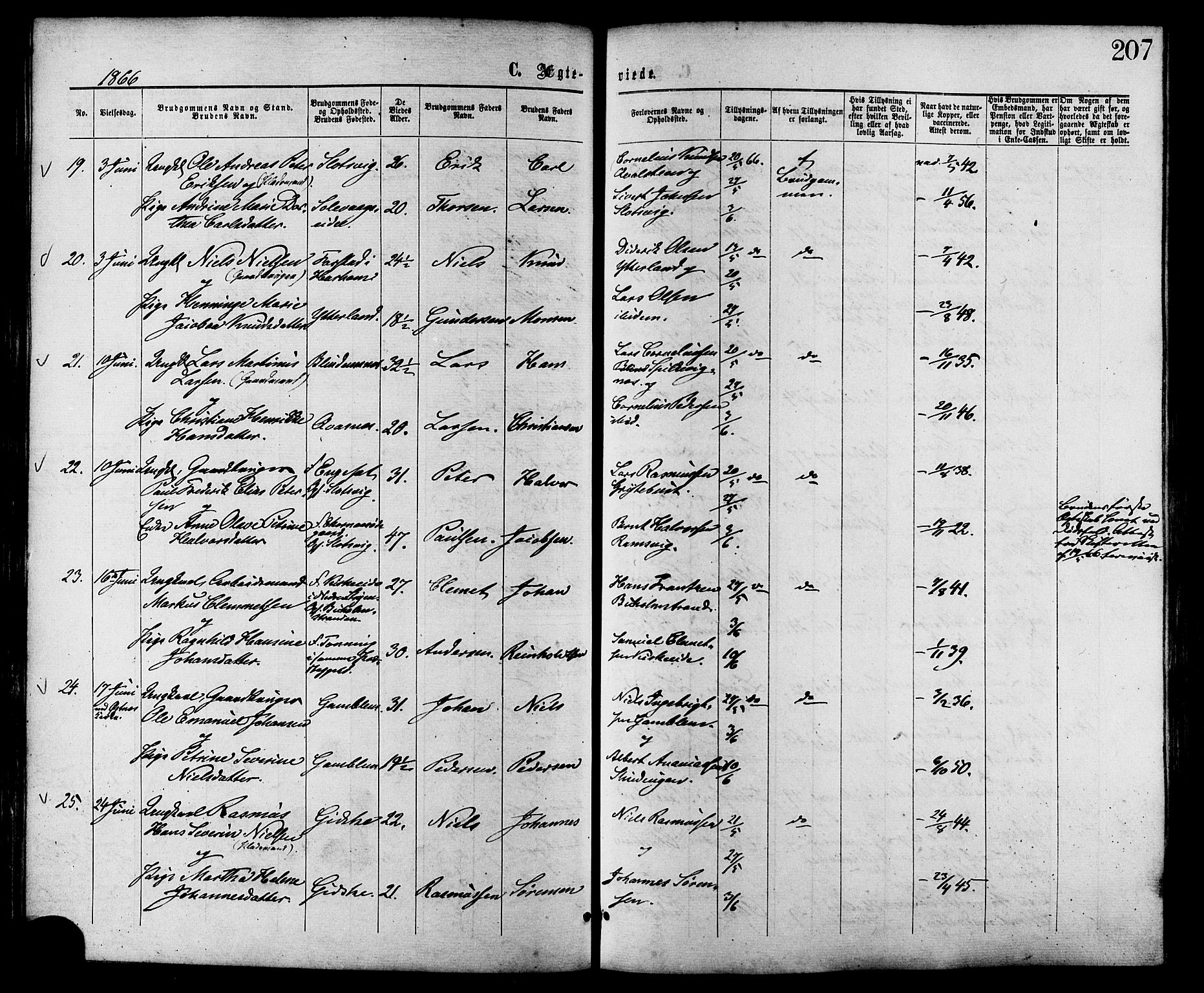 Ministerialprotokoller, klokkerbøker og fødselsregistre - Møre og Romsdal, AV/SAT-A-1454/528/L0399: Parish register (official) no. 528A10, 1864-1879, p. 207