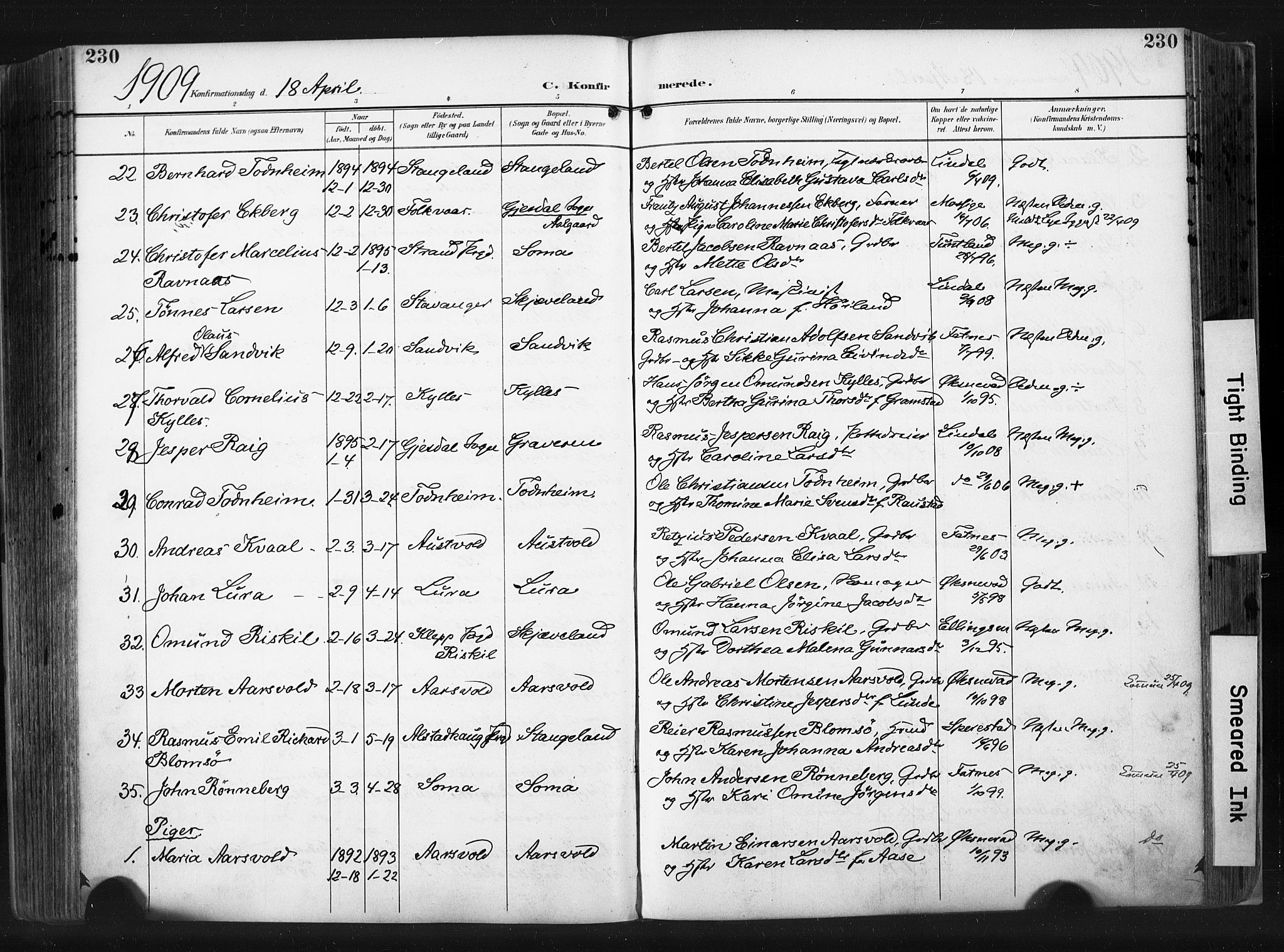 Høyland sokneprestkontor, AV/SAST-A-101799/001/30BA/L0015: Parish register (official) no. A 14, 1899-1911, p. 230