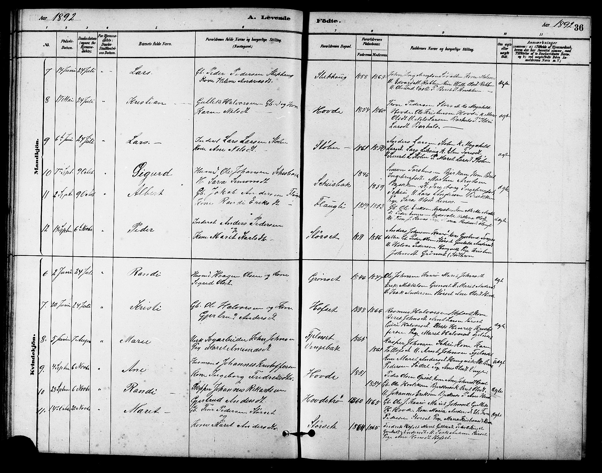 Ministerialprotokoller, klokkerbøker og fødselsregistre - Sør-Trøndelag, SAT/A-1456/631/L0514: Parish register (copy) no. 631C02, 1879-1912, p. 36